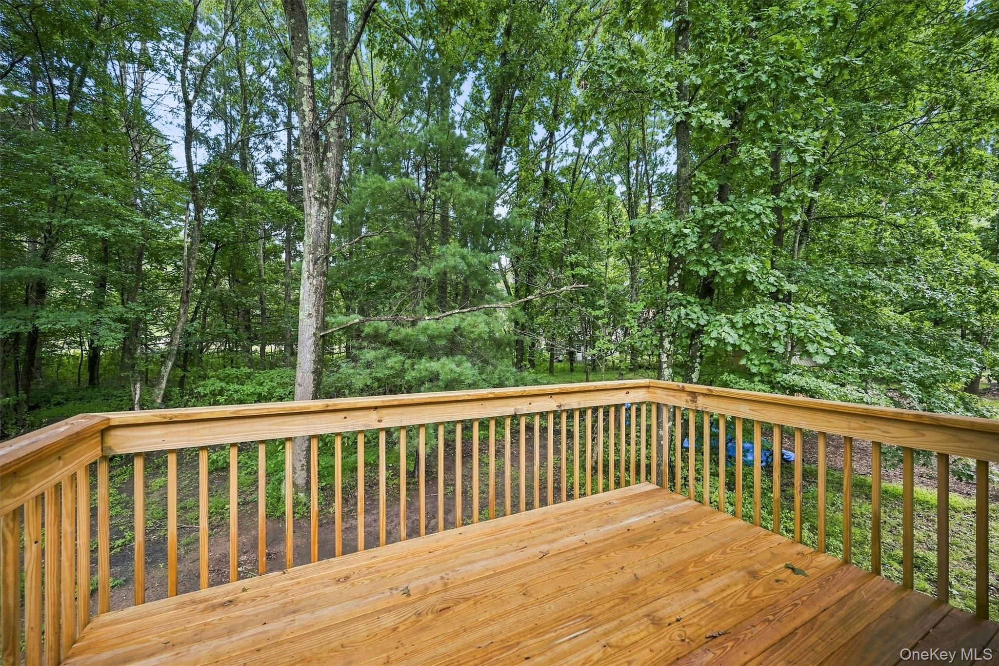 6 Mark Drive Property Photo 34