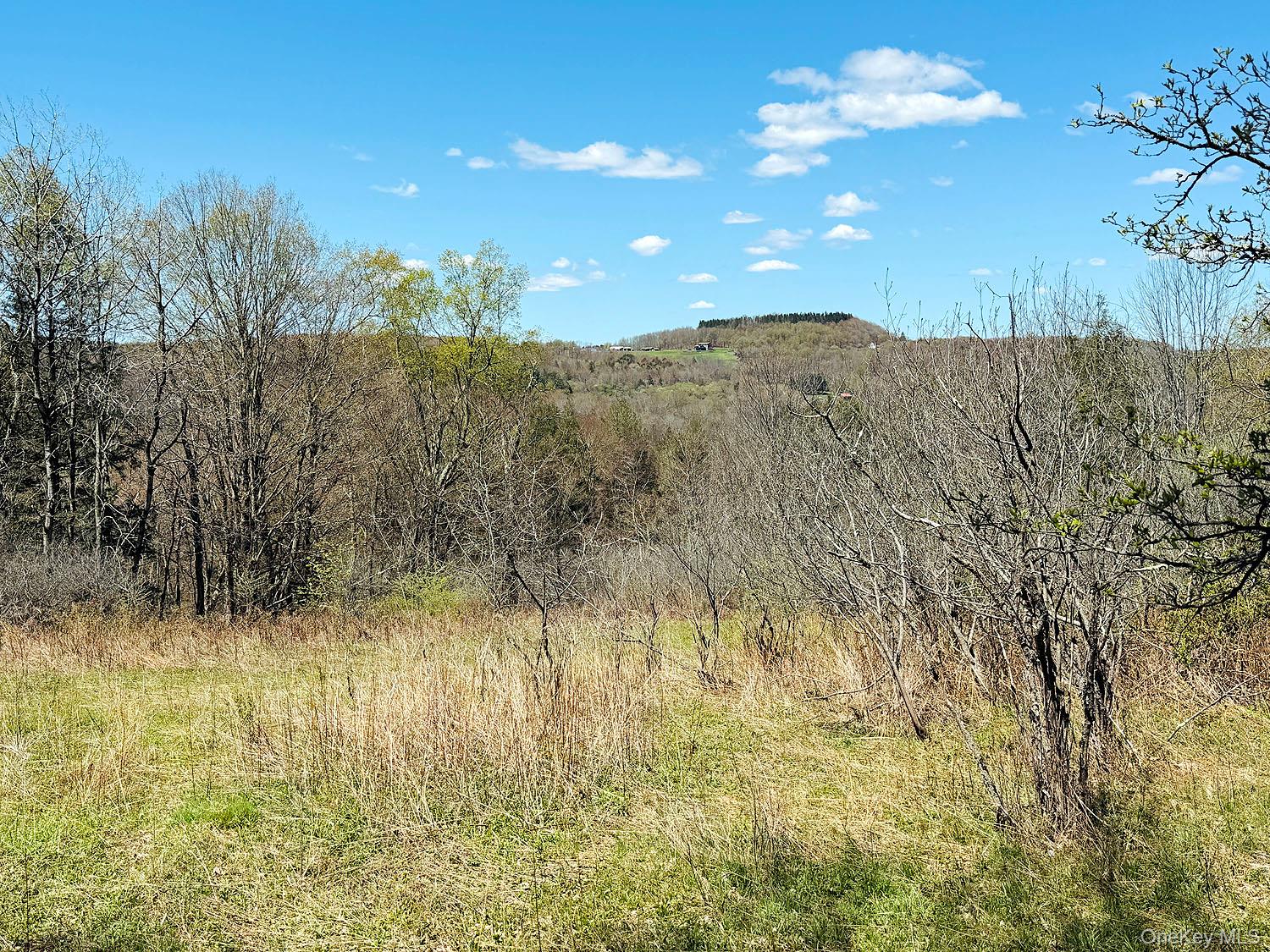 Hubert Road Property Photo 3
