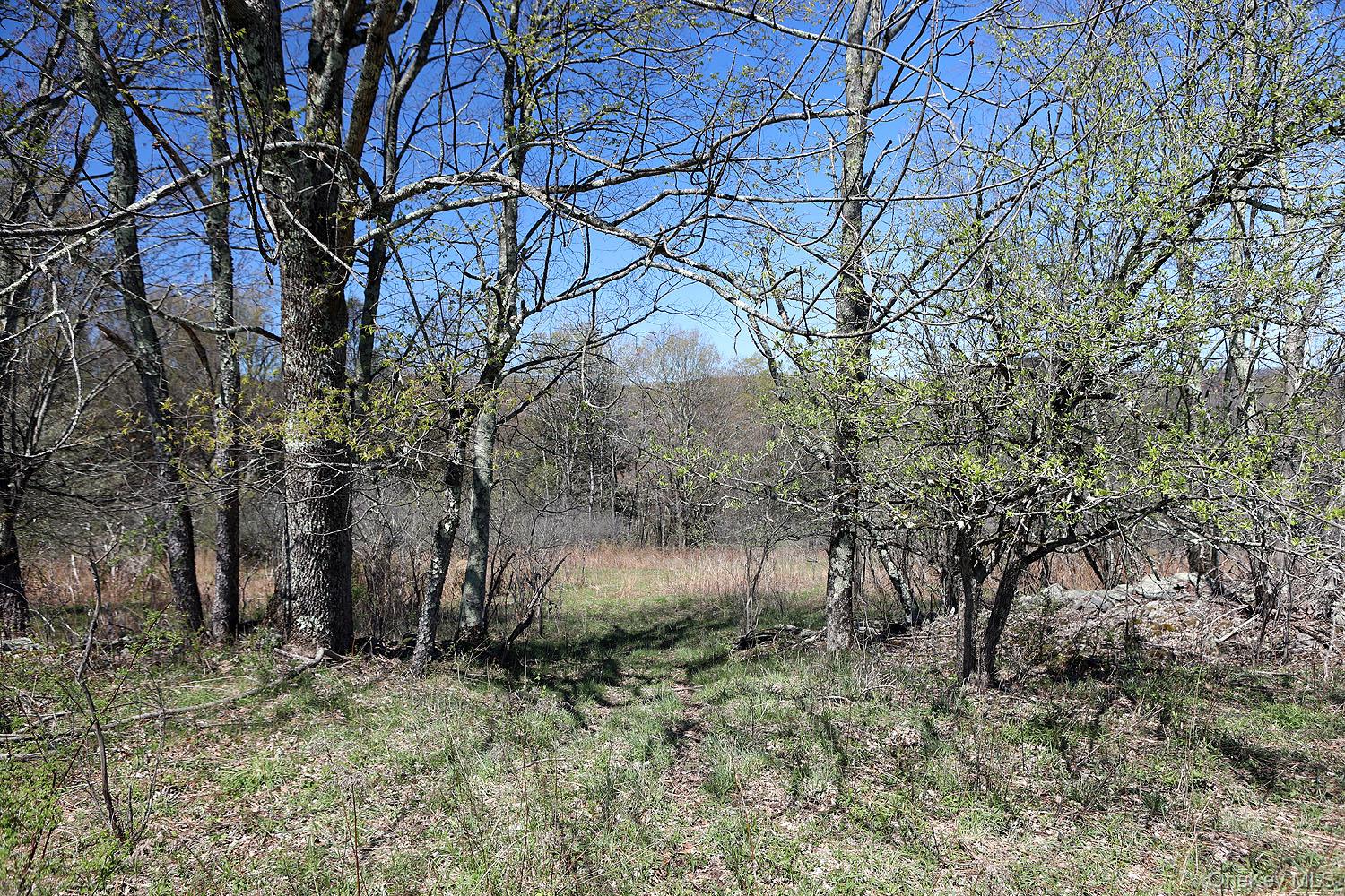 Hubert Road Property Photo 7