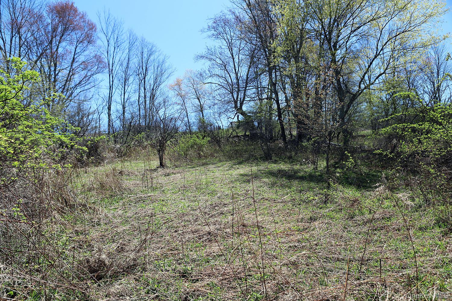 Hubert Road Property Photo 8