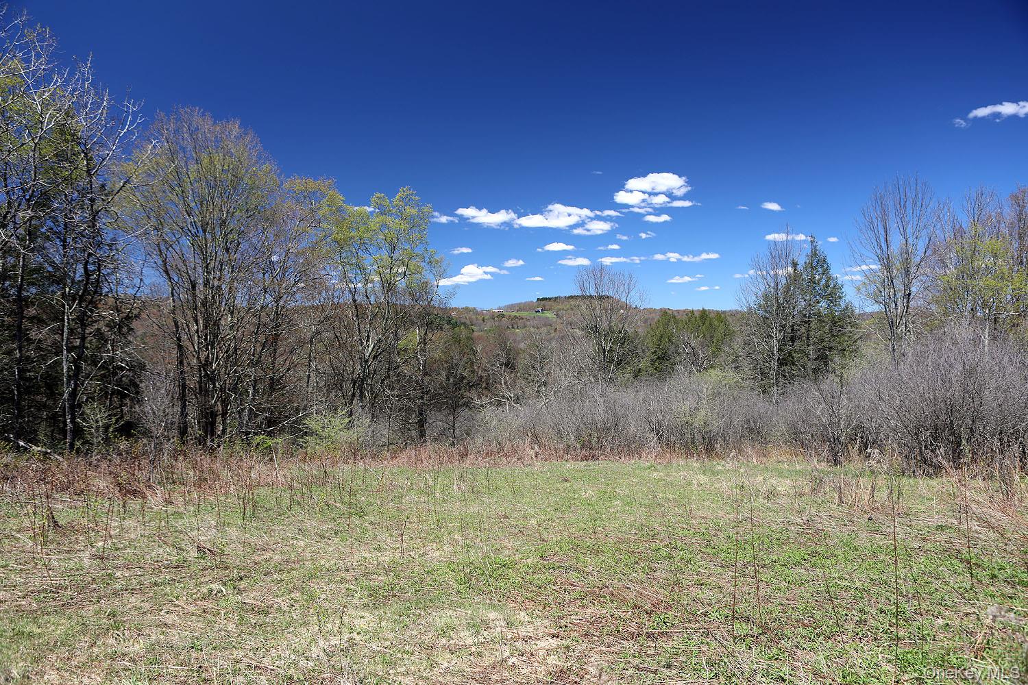 Hubert Road Property Photo 16