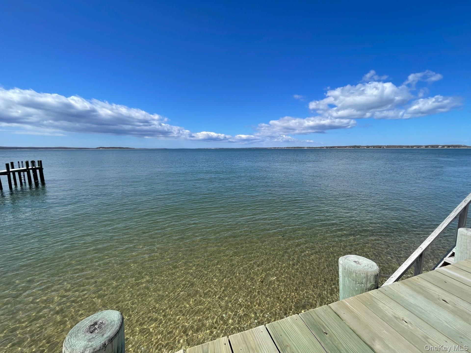 59 Peconic Avenue Property Photo 22