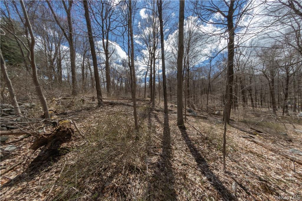 91 Sherwood Hill Road Property Photo 1