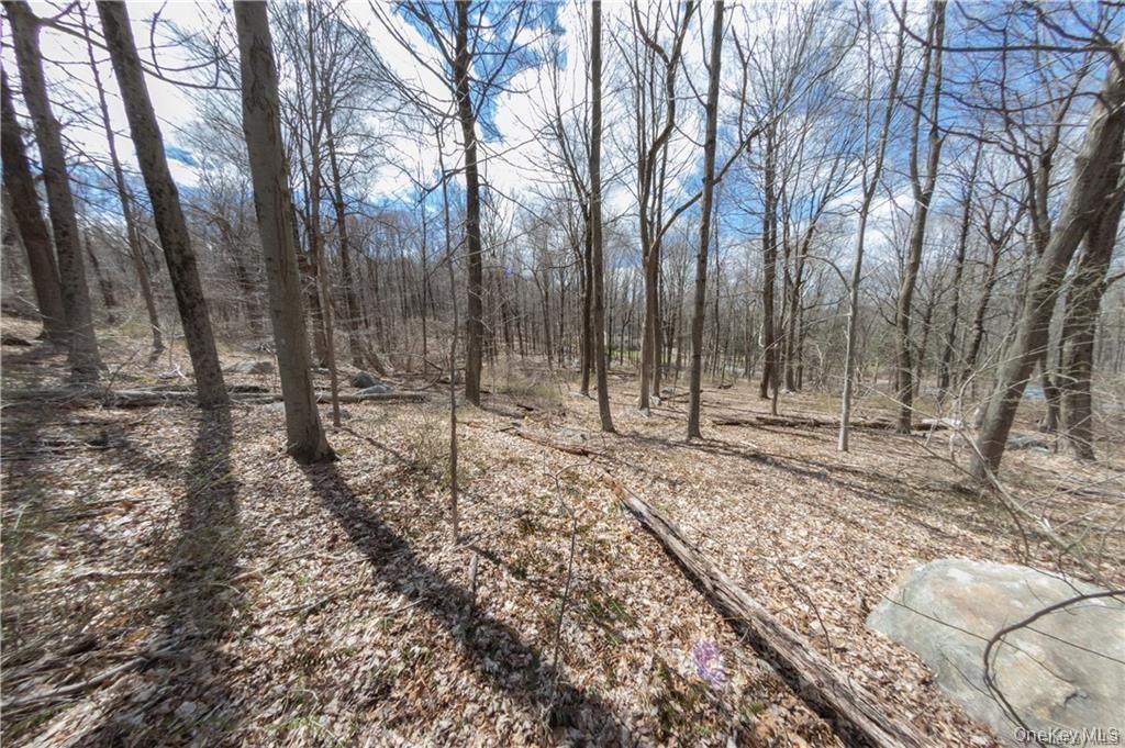 91 Sherwood Hill Road Property Photo 2