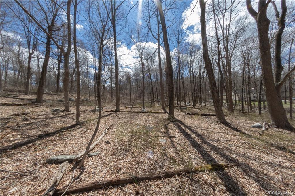 91 Sherwood Hill Road Property Photo 3