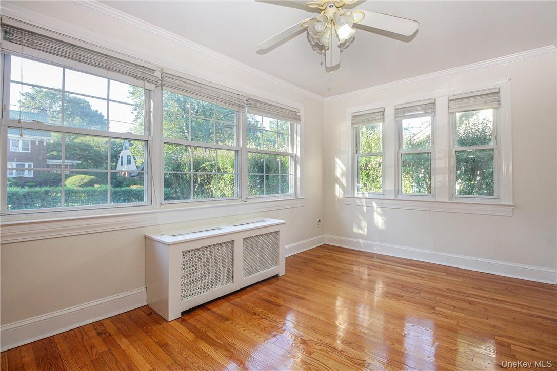 237 Coligni Avenue Property Photo 4
