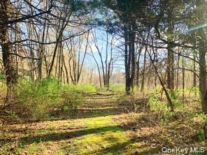 Sepasco Lake Road Property Photo 6