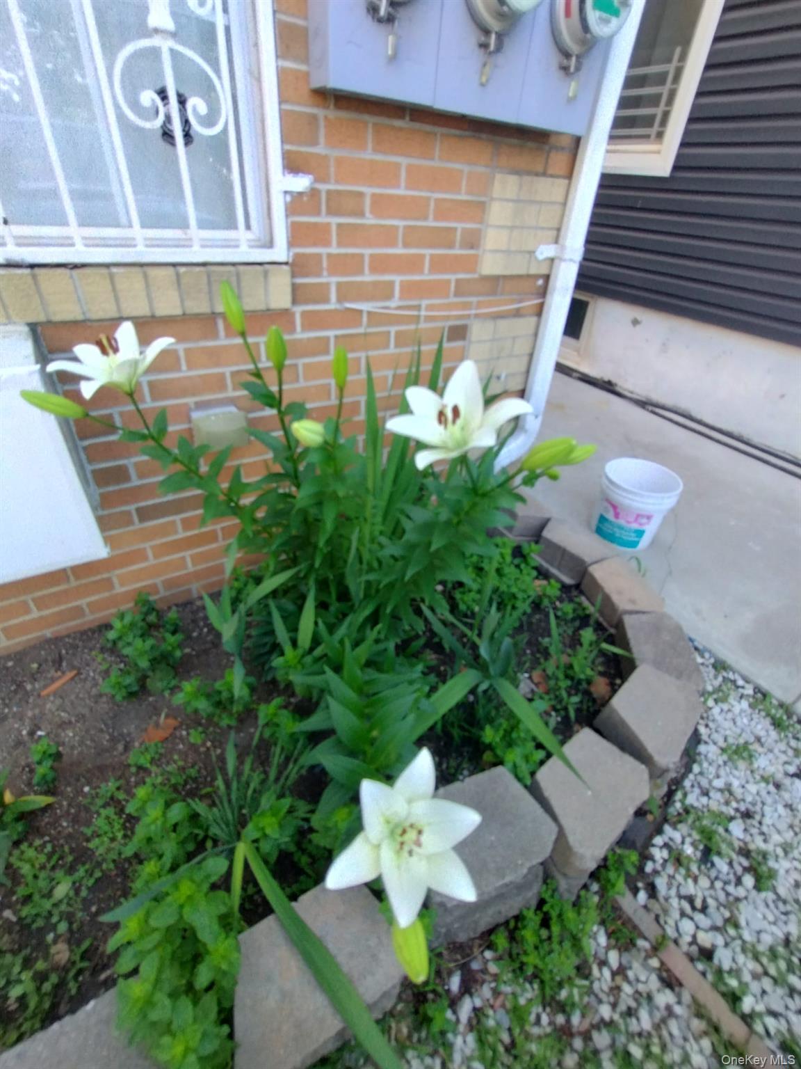 933 Tilden Street Property Photo 3