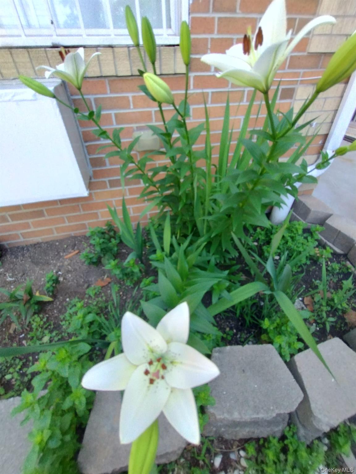 933 Tilden Street Property Photo 10