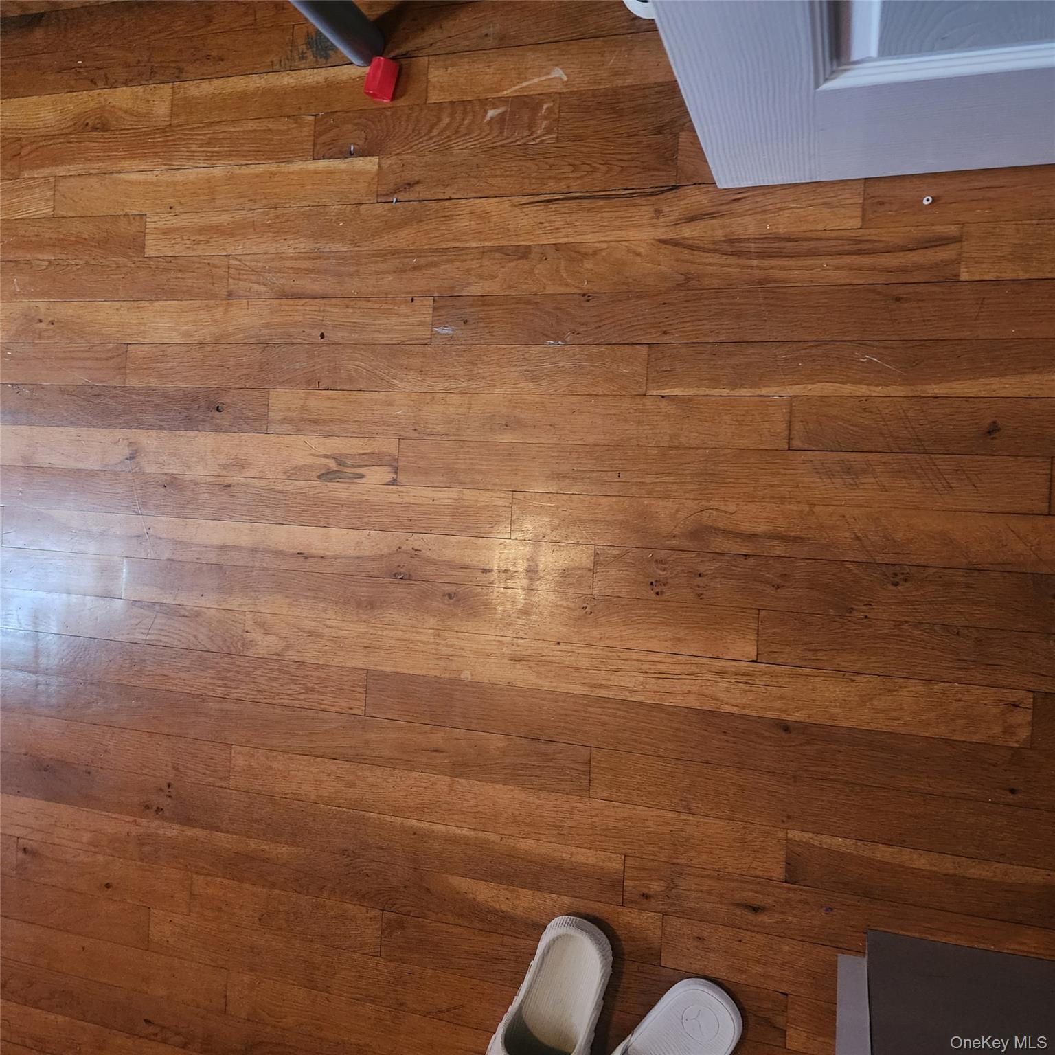 933 Tilden Street Property Photo 27