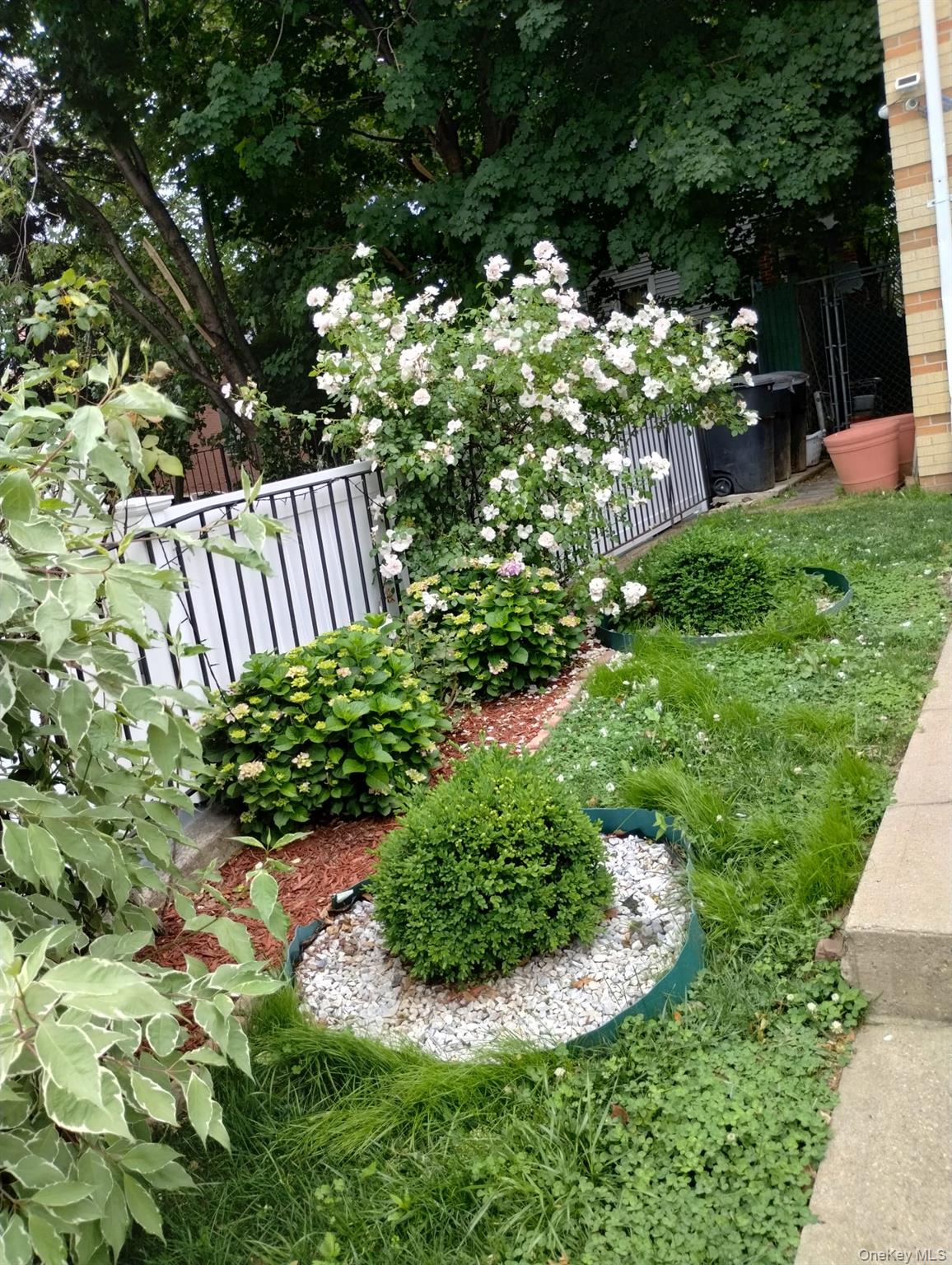 933 Tilden Street Property Photo 41