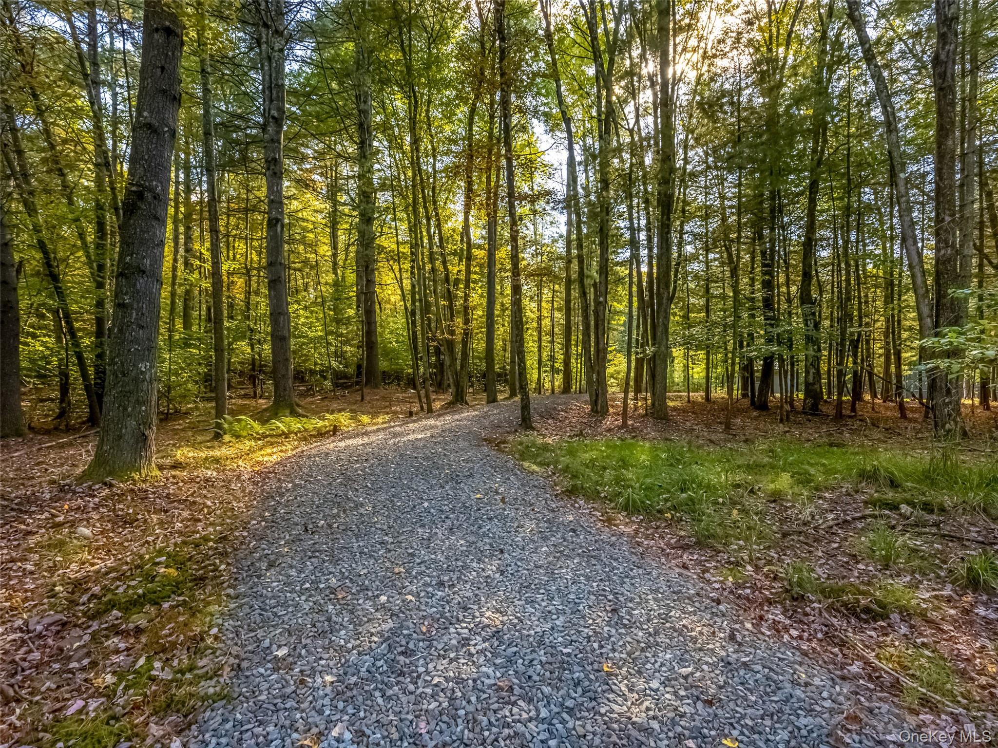 61 Top Ridge Trail Property Photo 46