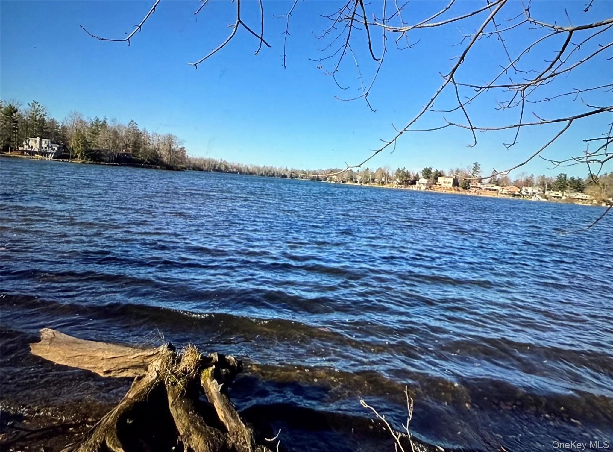 Lake Shore Drive Property Photo 2