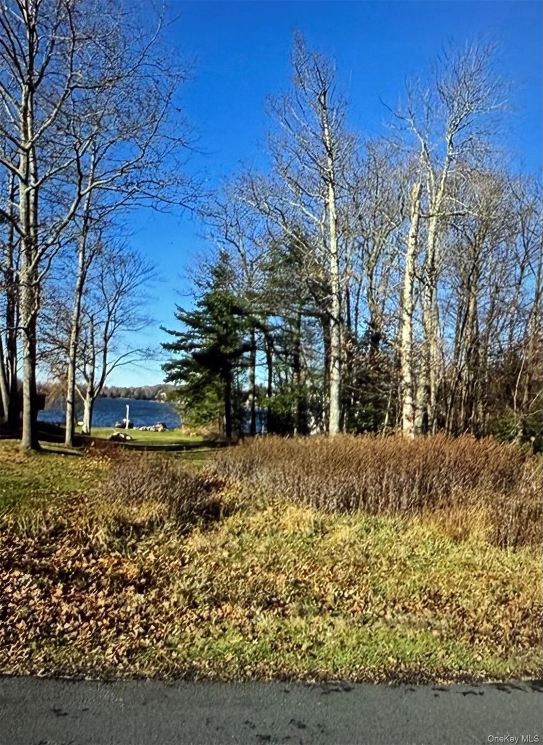Lake Shore Drive Property Photo 3