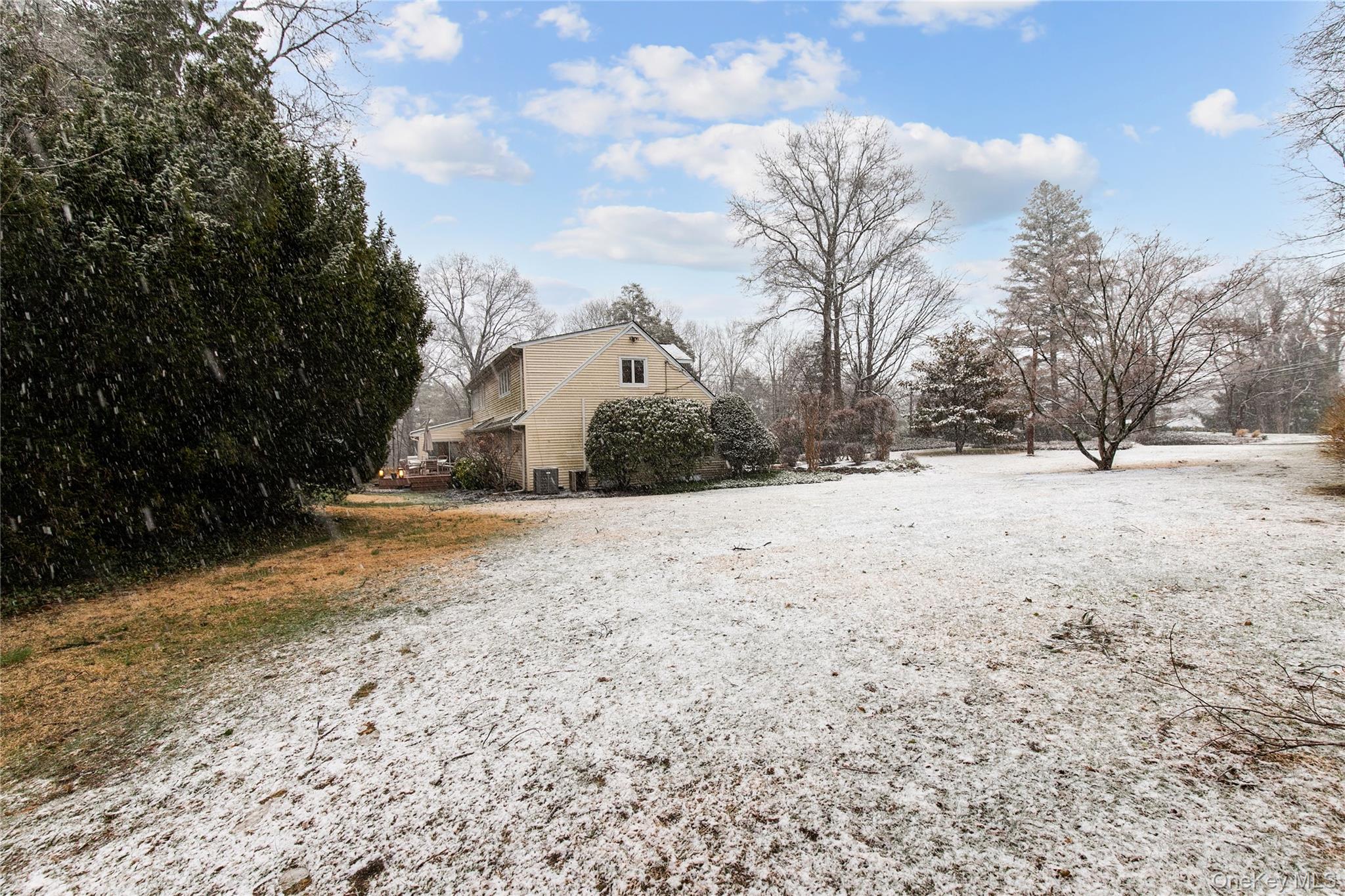 1 The Brae Property Photo 34
