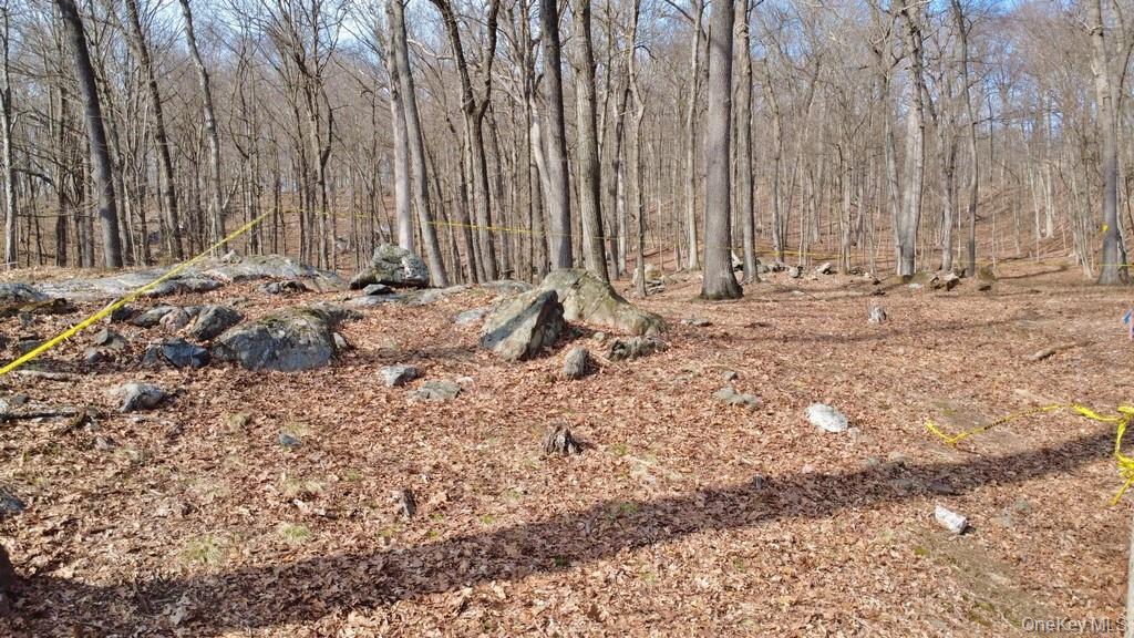 517a Old Chappaqua Road Property Photo 16