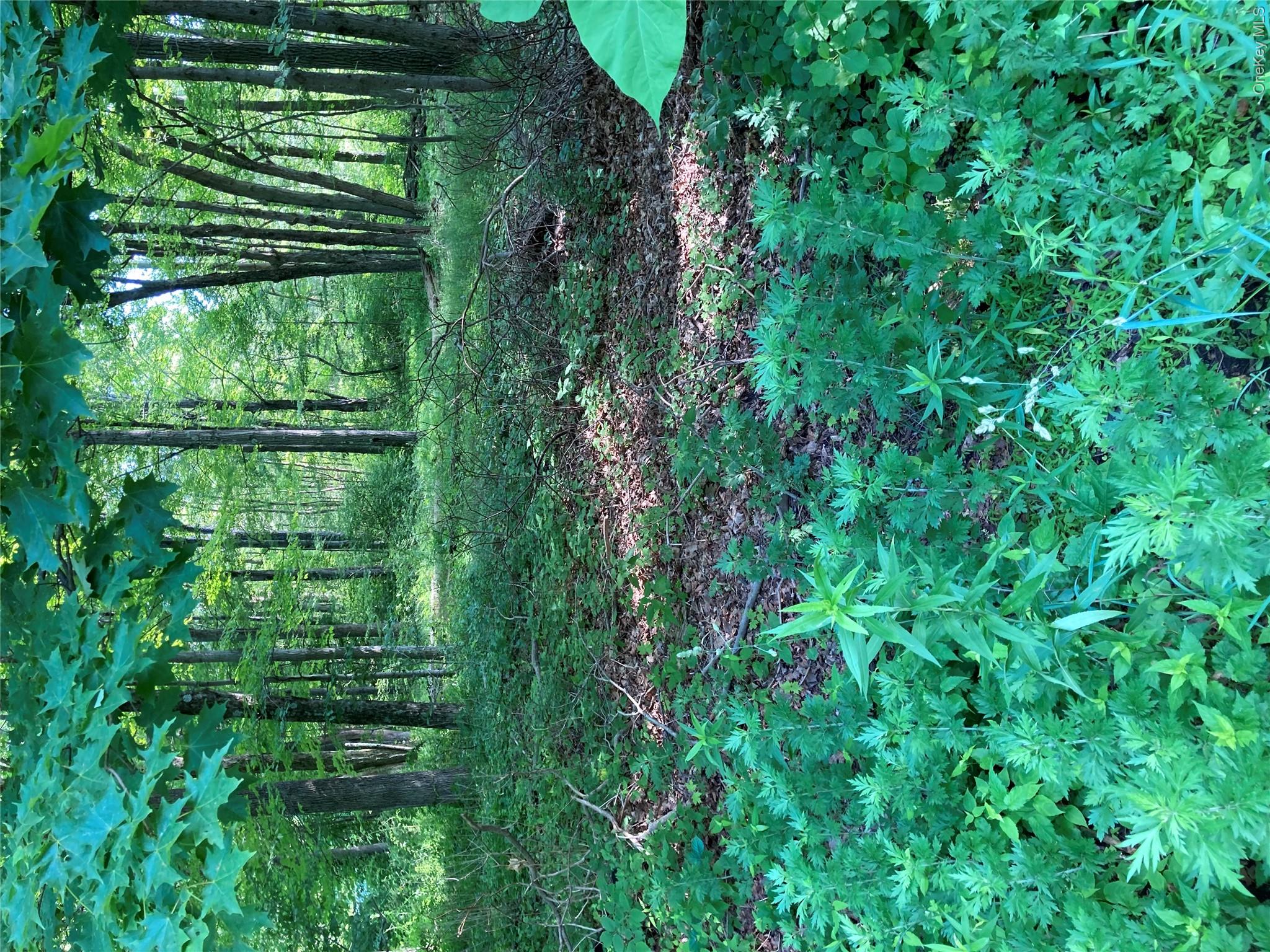15 Adam Wagner Lane Property Photo 1