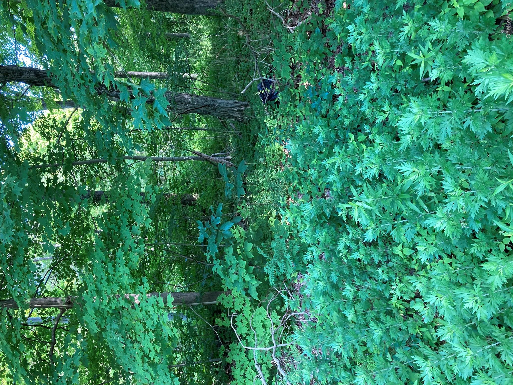 15 Adam Wagner Lane Property Photo 2