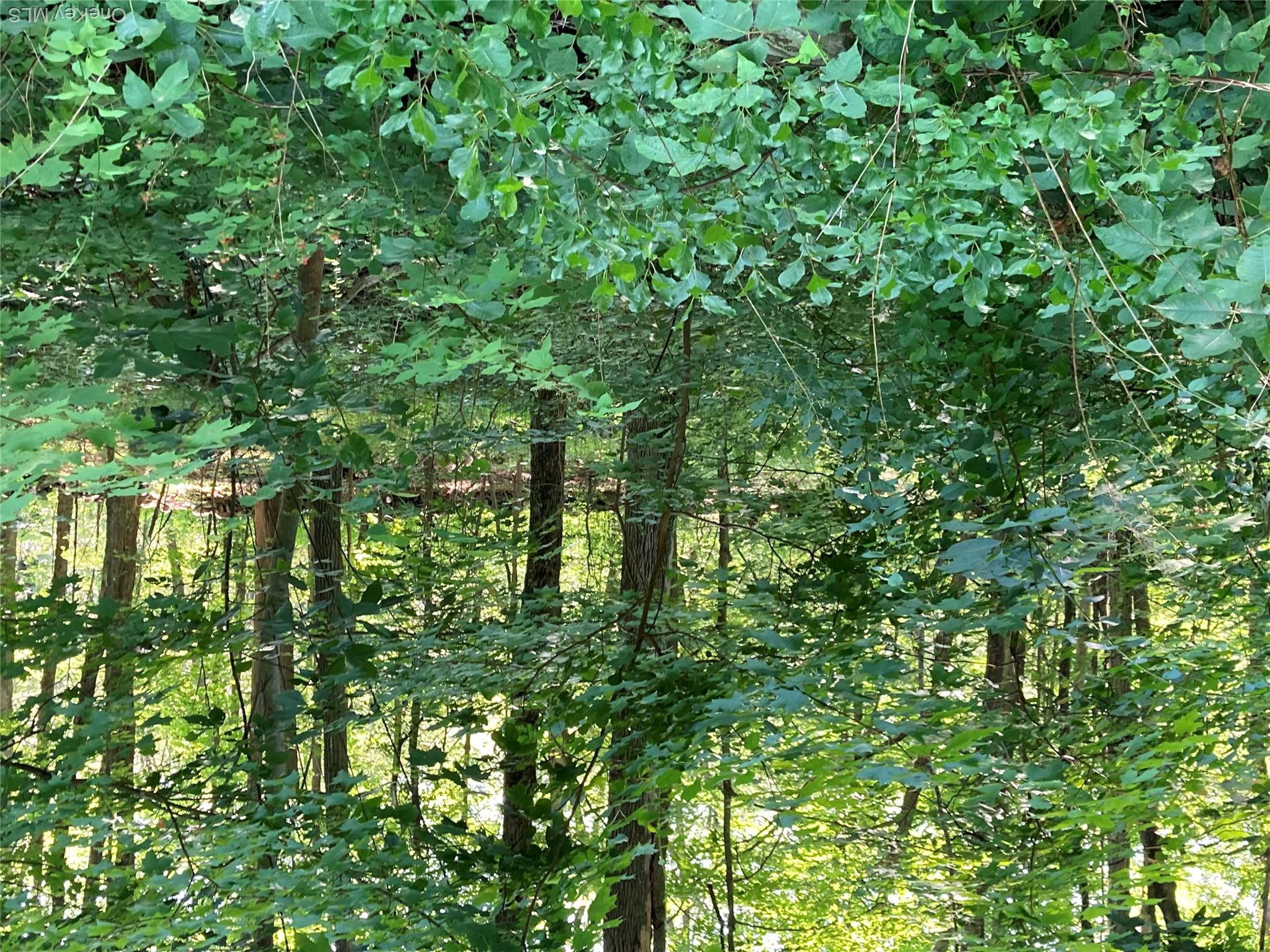 15 Adam Wagner Lane Property Photo 11