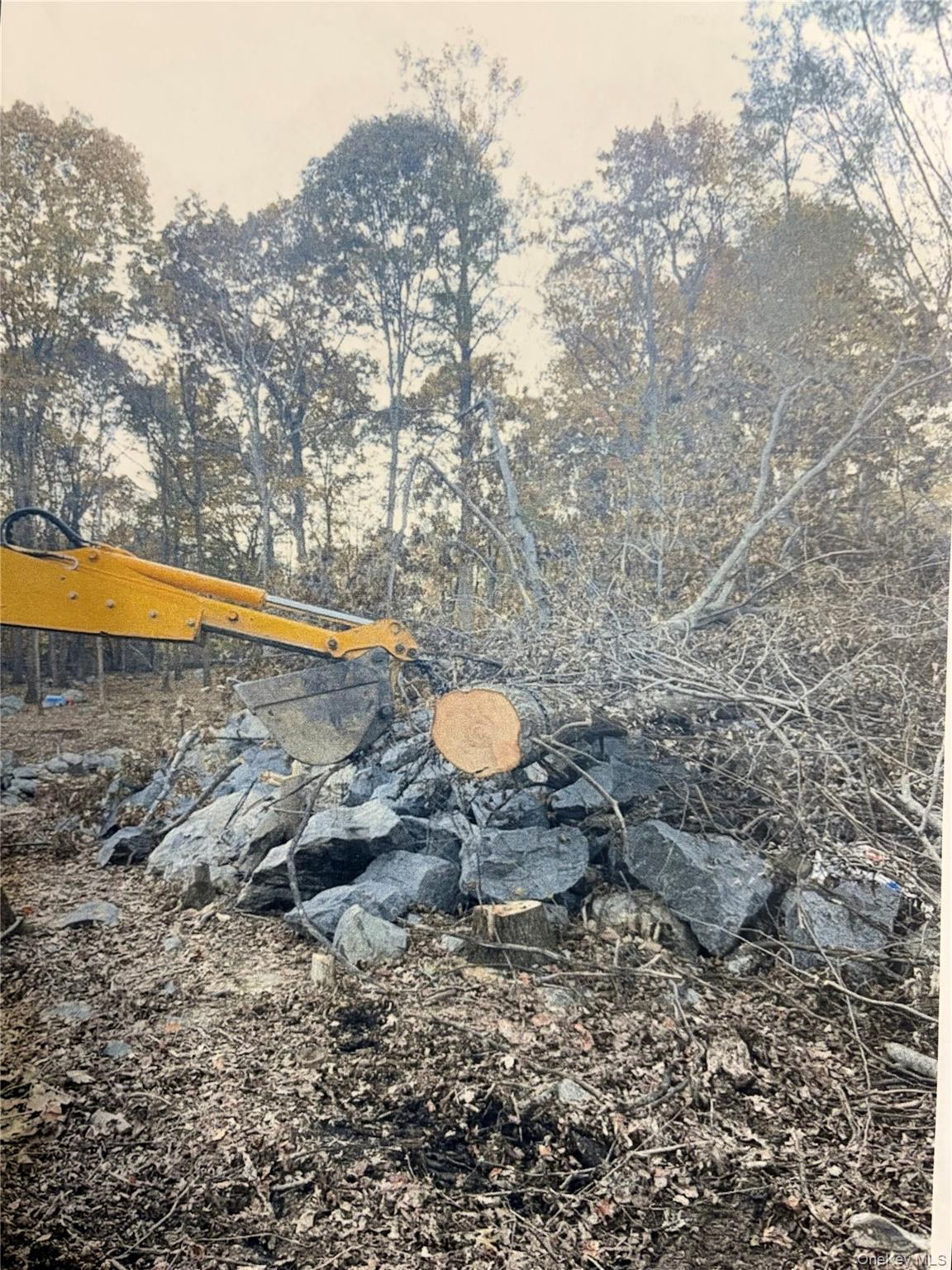 15 Adam Wagner Lane Property Photo 28