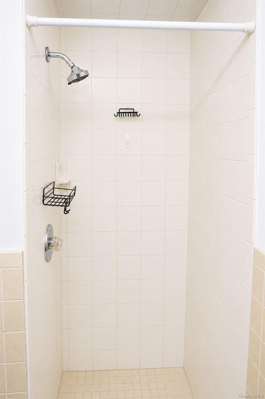 206 Winthrop Avenue 2 Property Photo 22