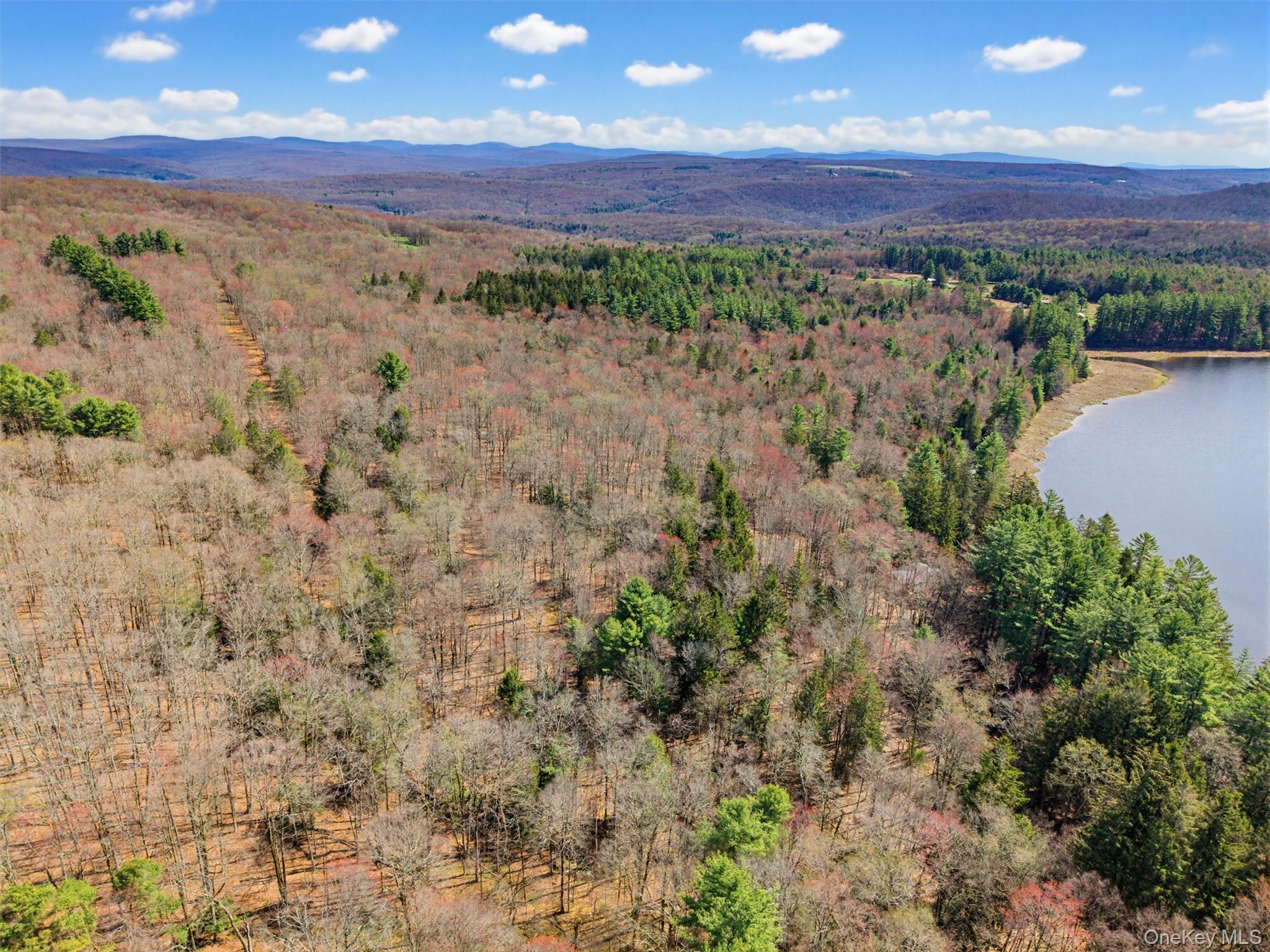 85 Lenape Lake Road Property Photo 4