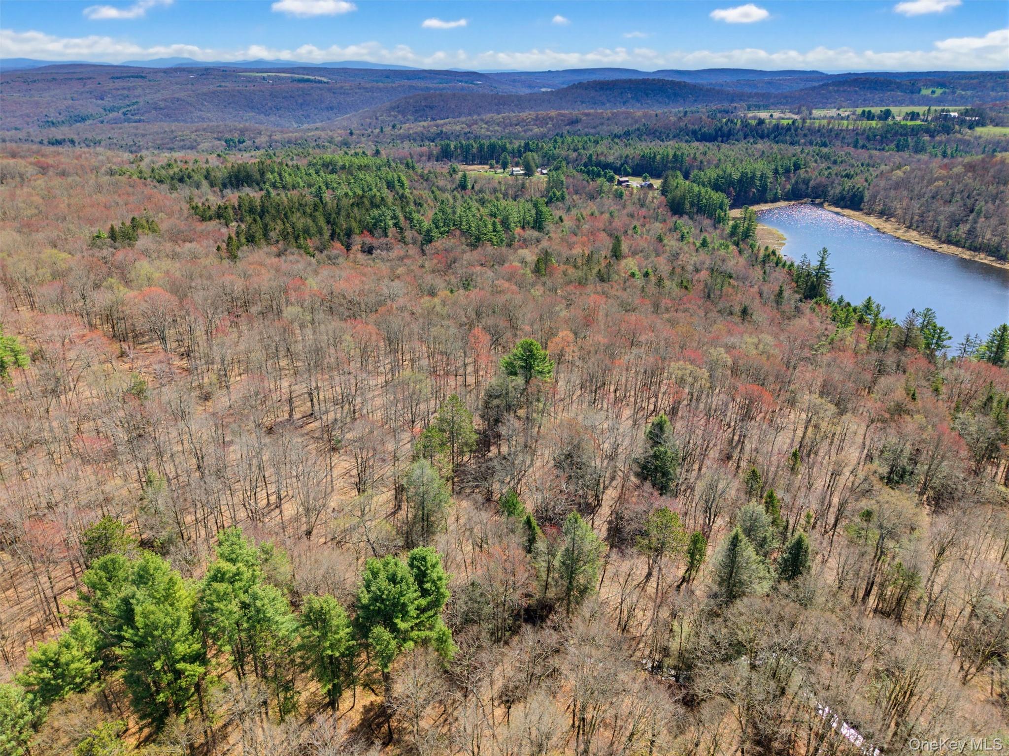 85 Lenape Lake Road Property Photo 6