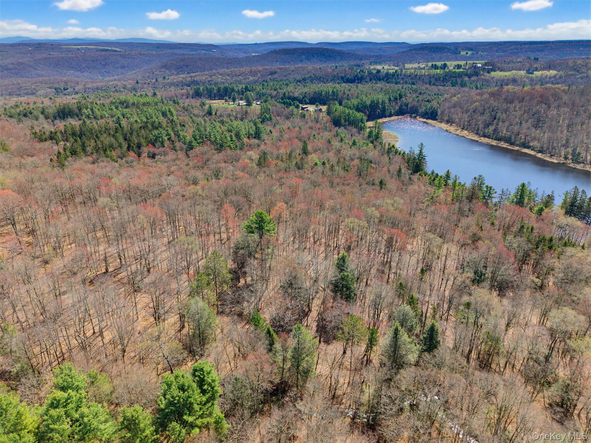 85 Lenape Lake Road Property Photo 7