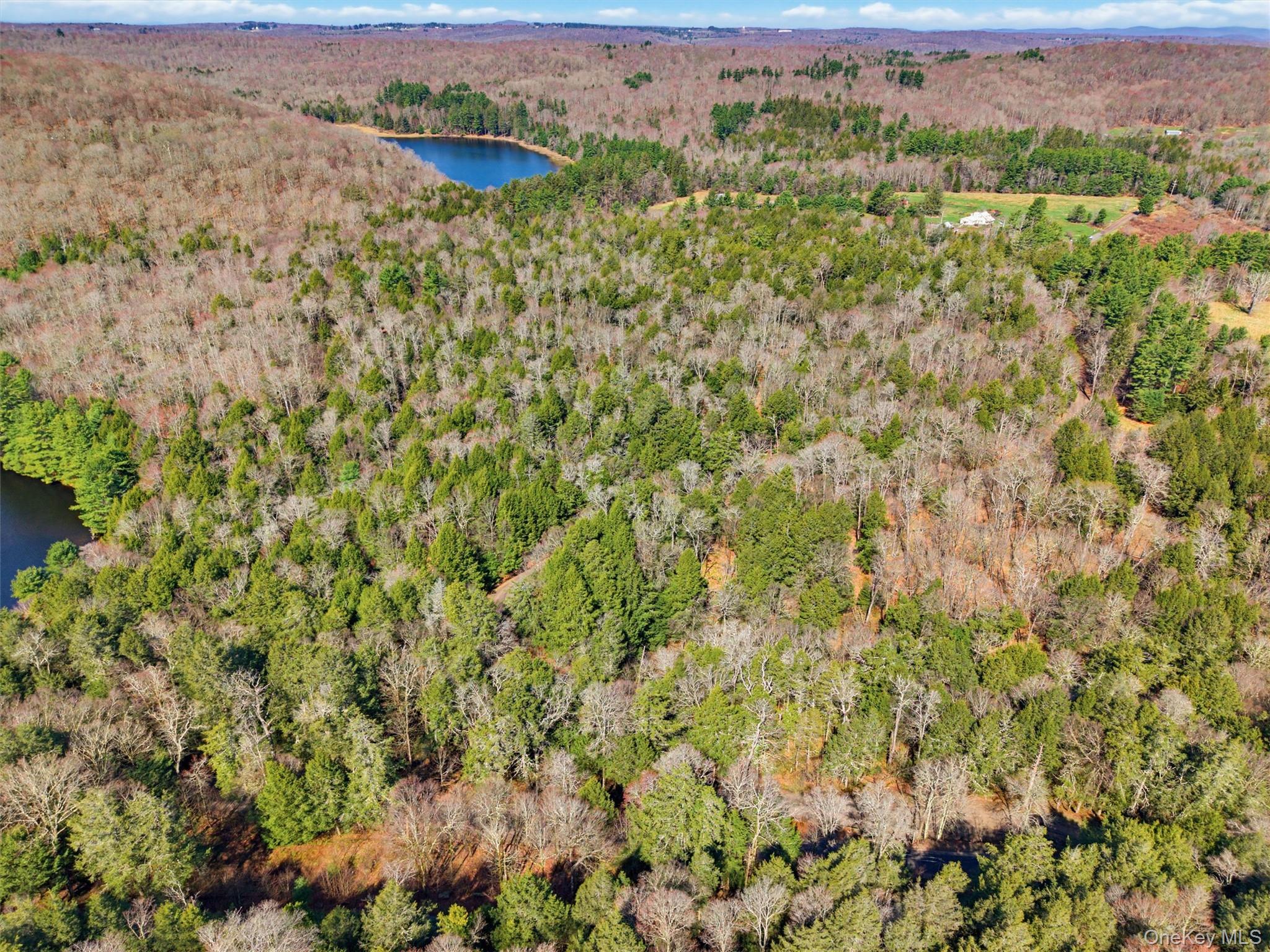 85 Lenape Lake Road Property Photo 8