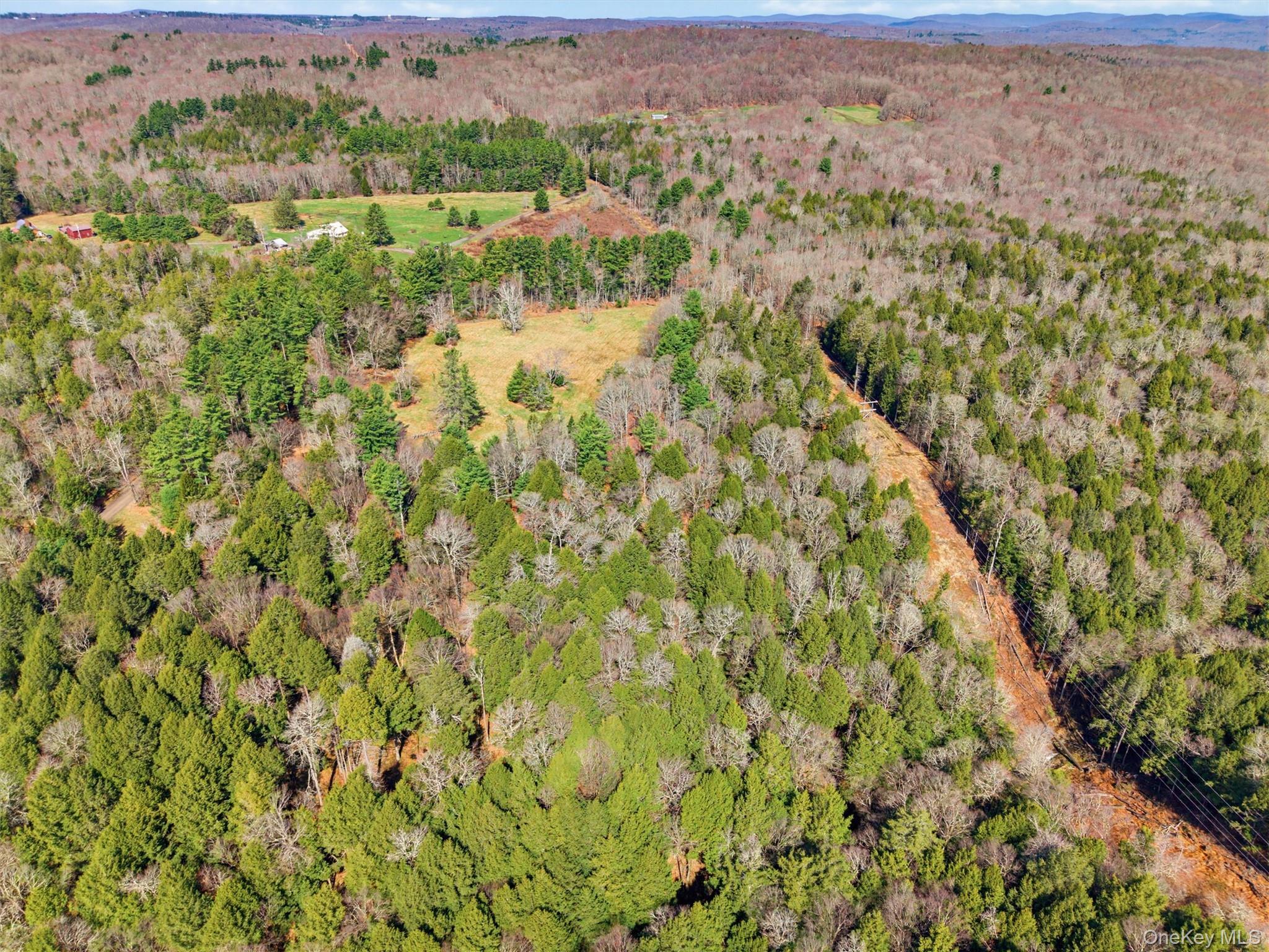 85 Lenape Lake Road Property Photo 9