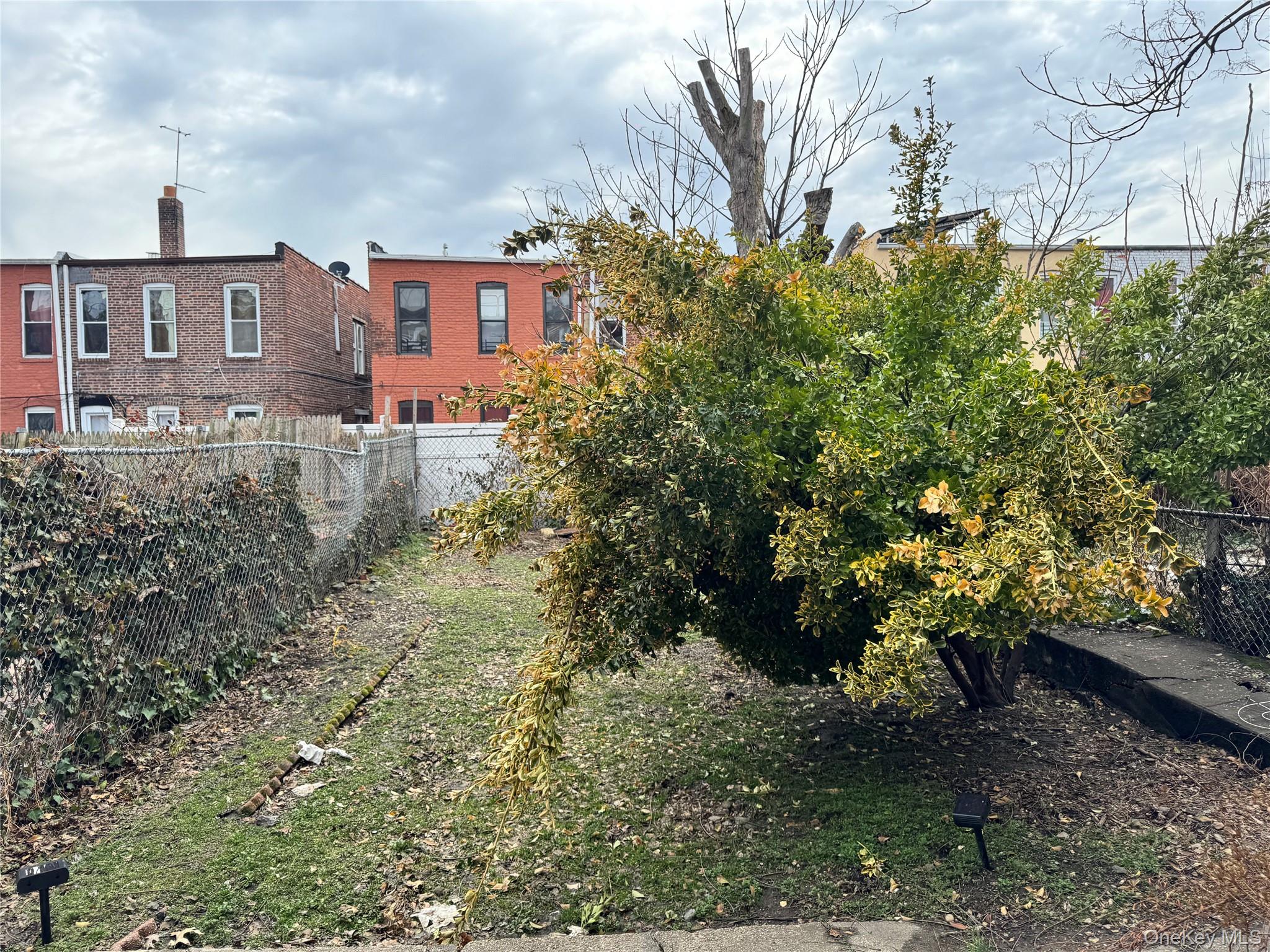946 E 215th Street Property Photo 5