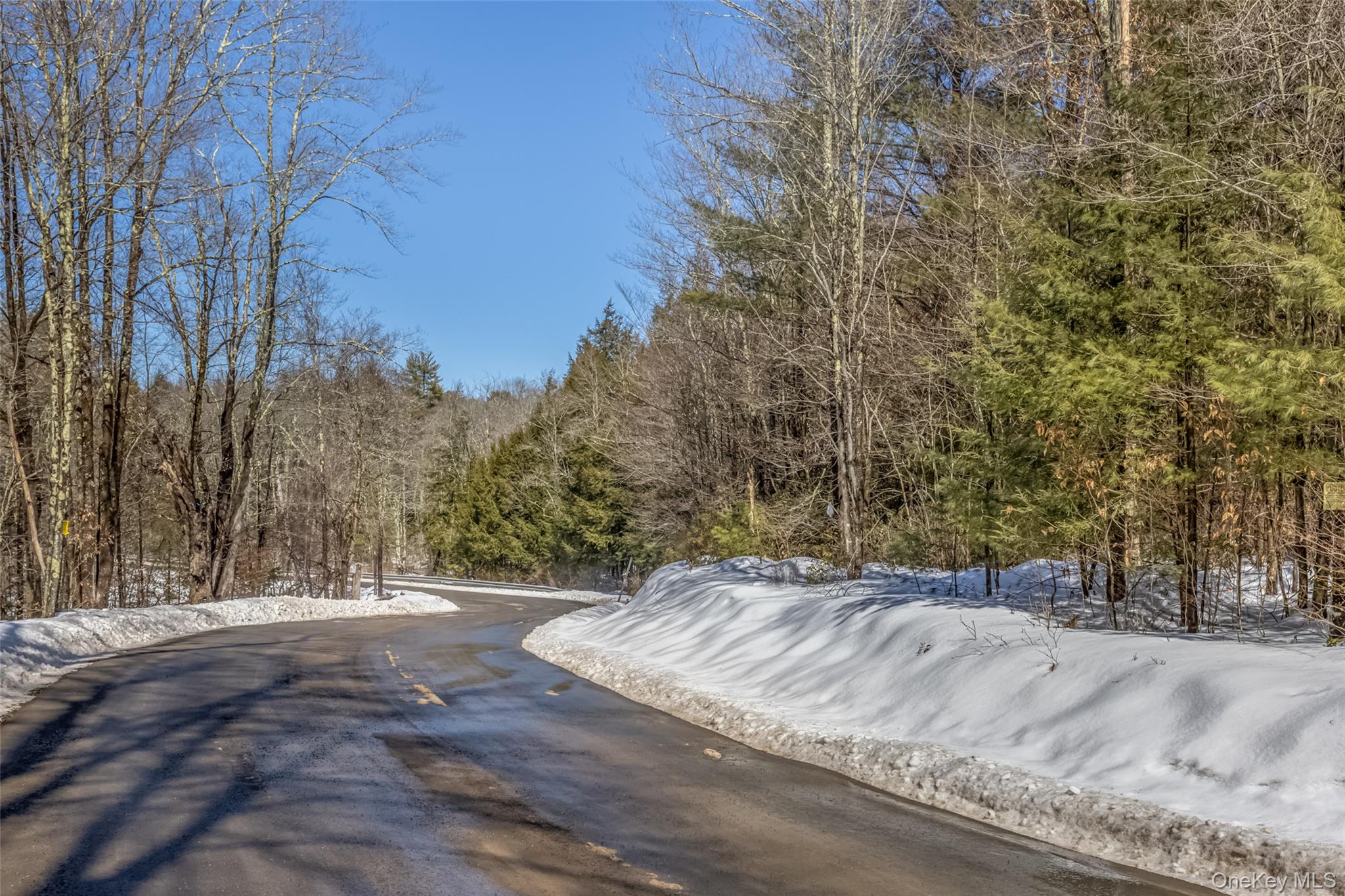 Camp Road Property Photo 8