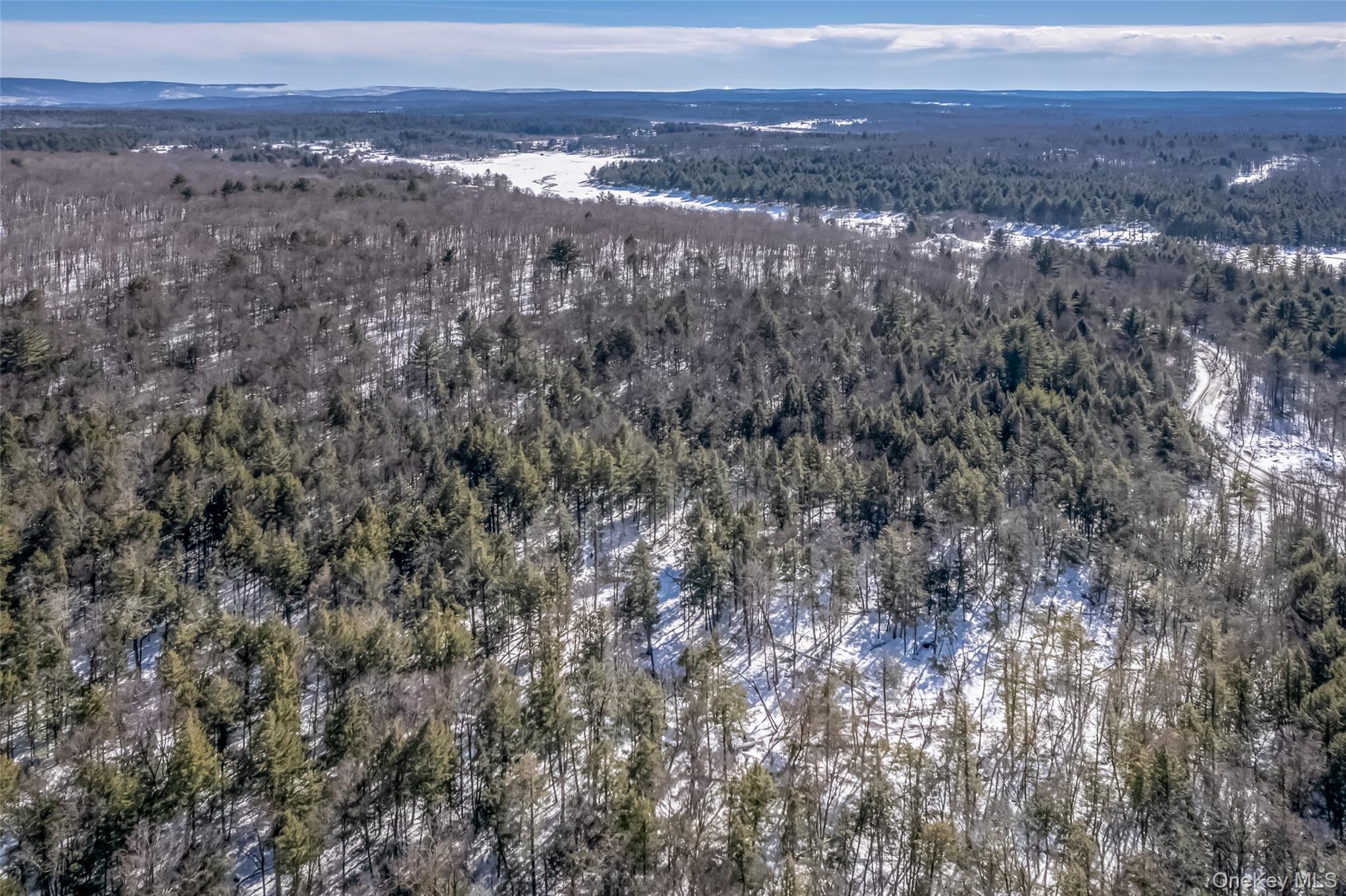 Camp Road Property Photo 15
