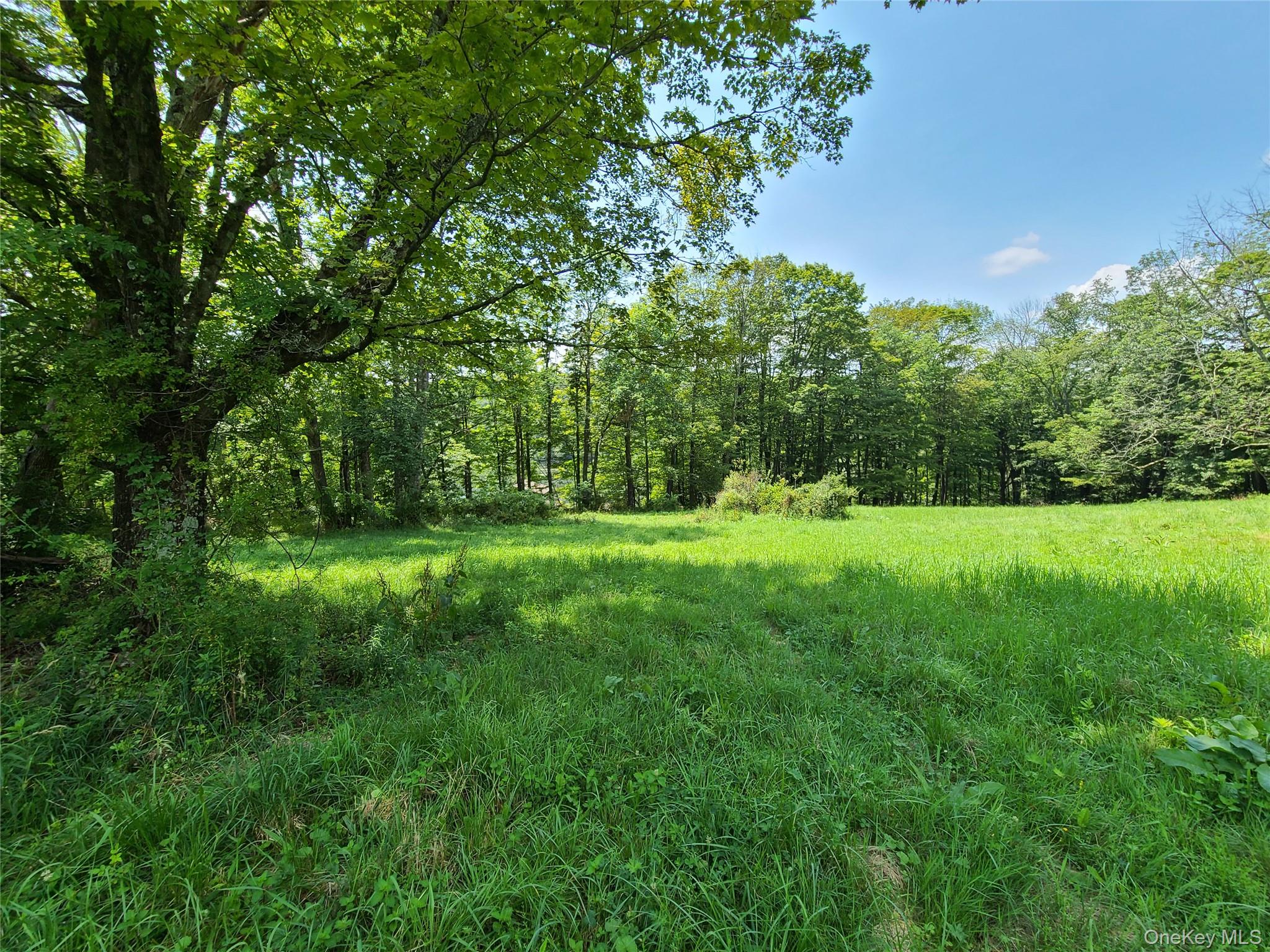 299-301 Stump Pond Road Property Photo 43