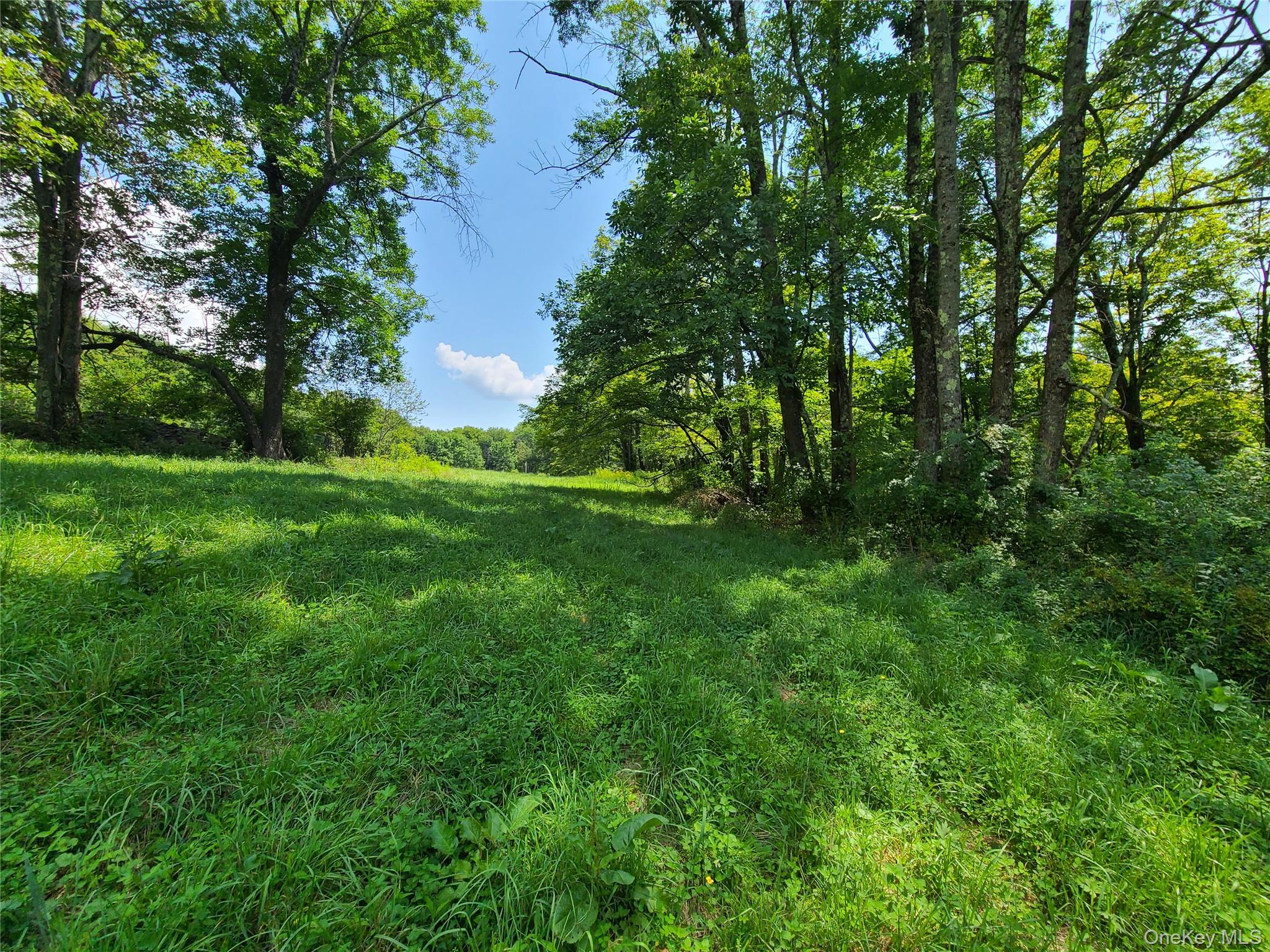 299-301 Stump Pond Road Property Photo 44