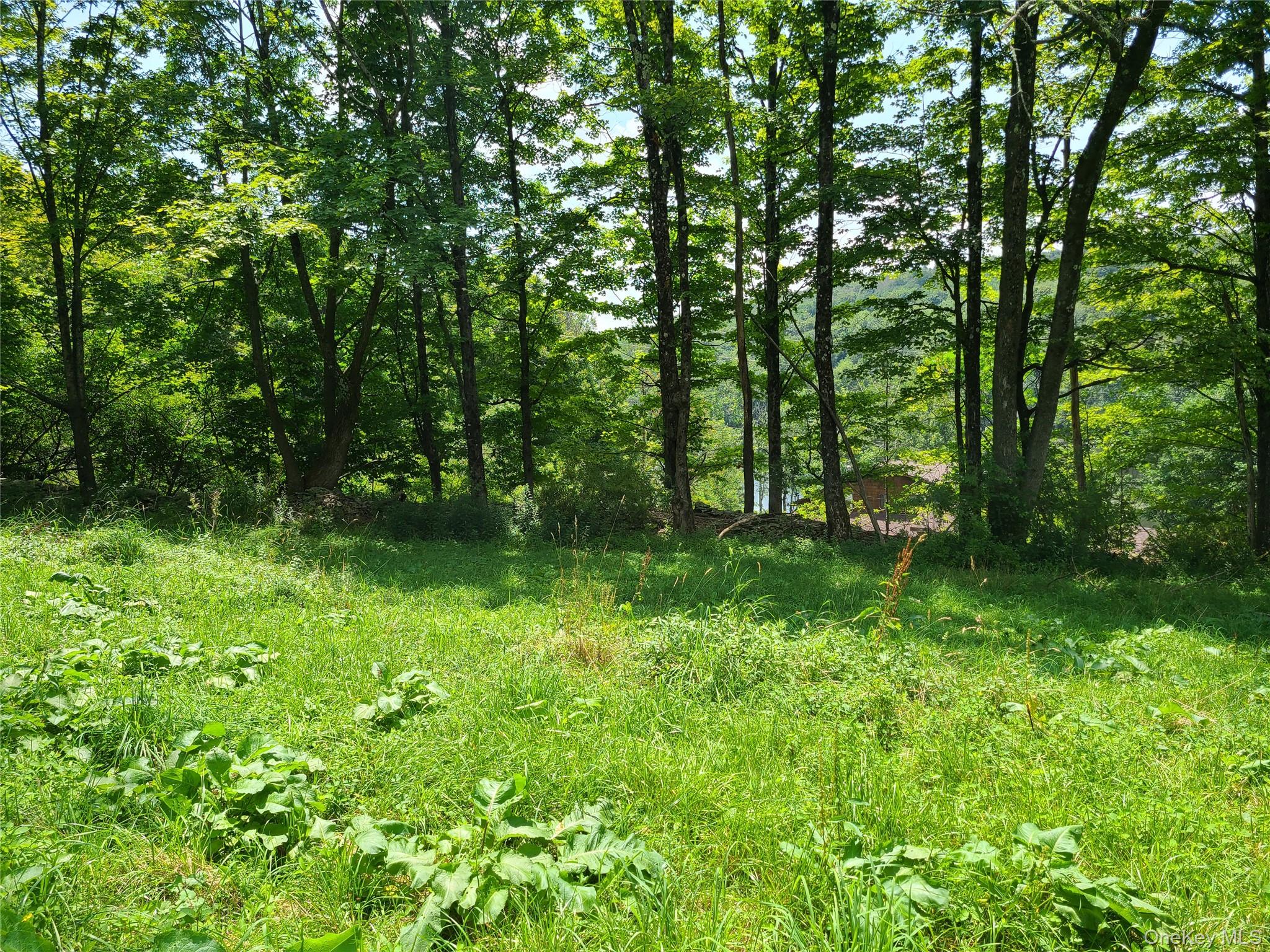 299-301 Stump Pond Road Property Photo 45