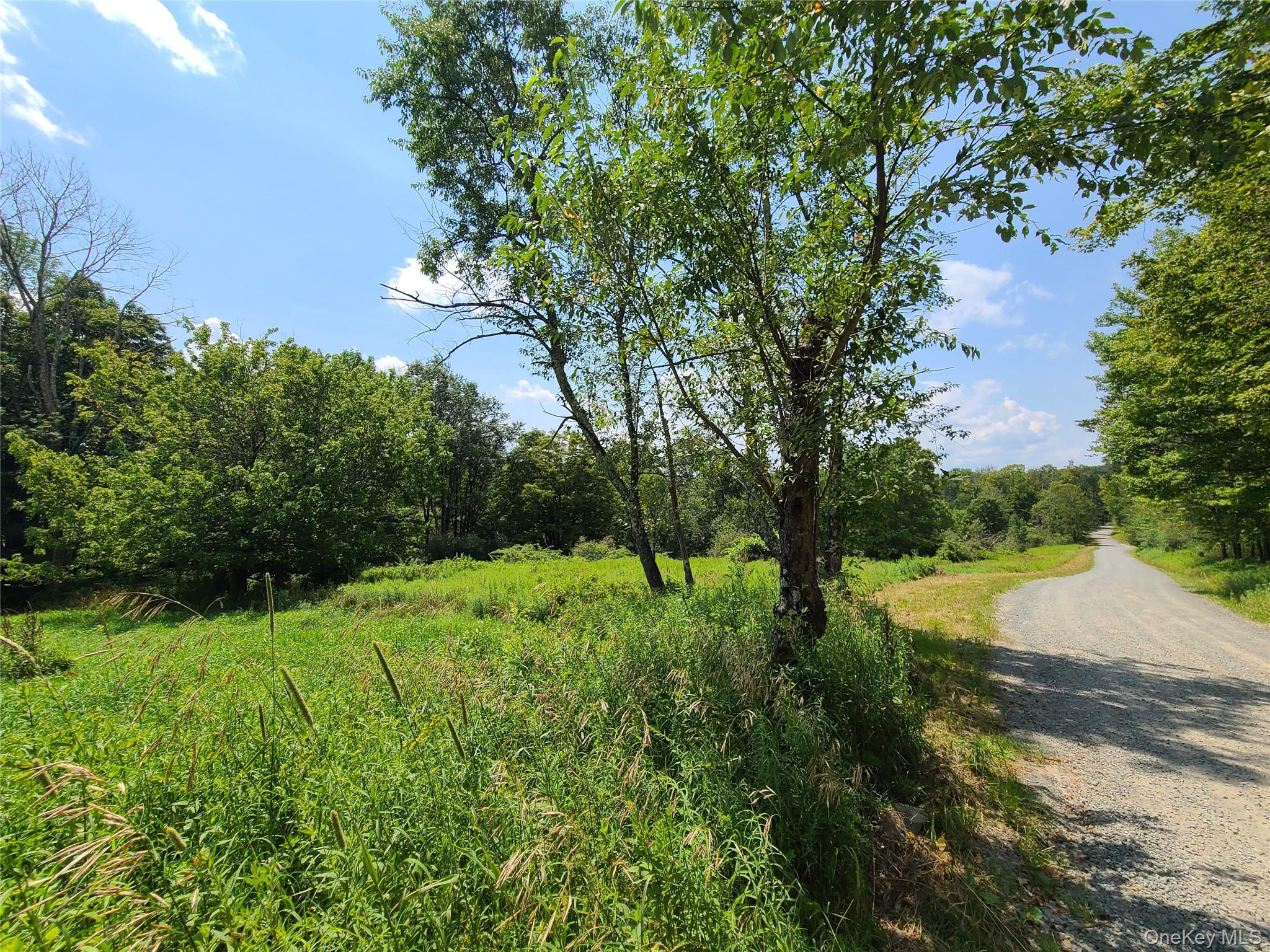 299-301 Stump Pond Road Property Photo 47