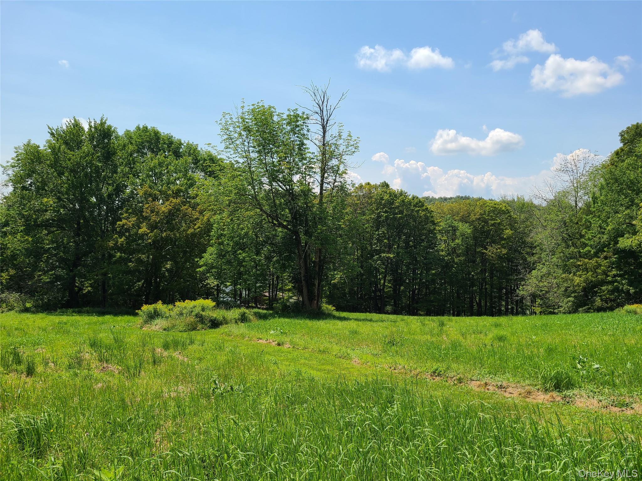 299-301 Stump Pond Road Property Photo 49