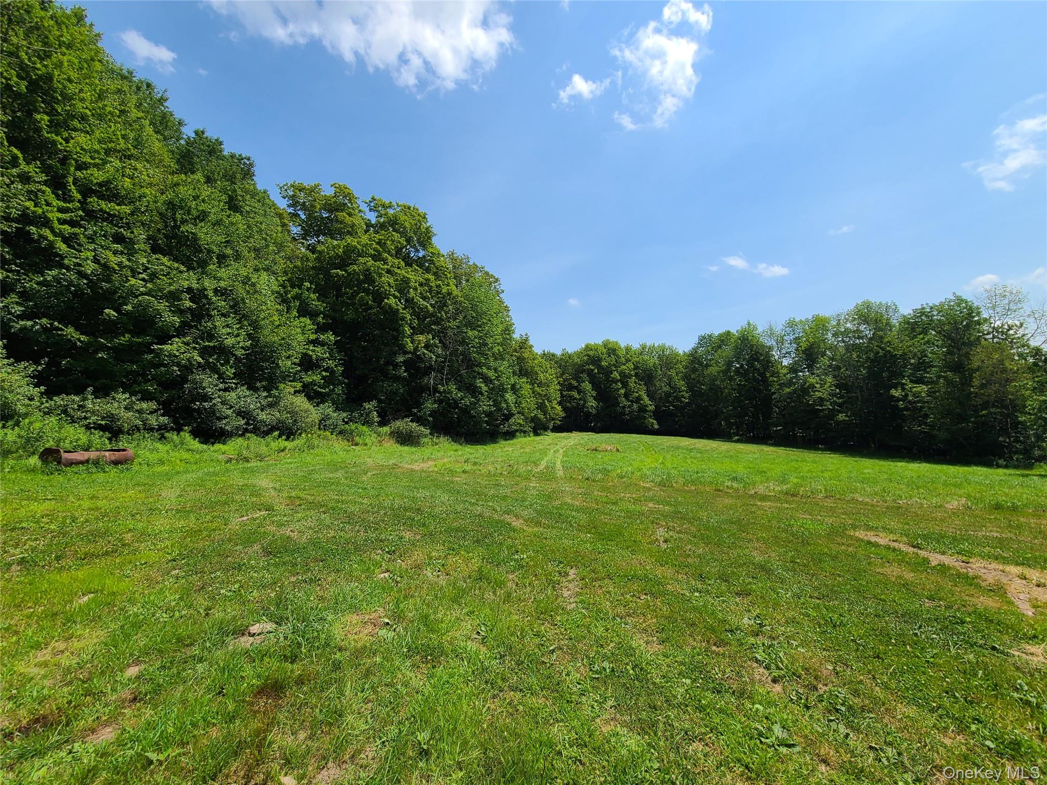 Tbd Stump Pond Road Property Photo 4
