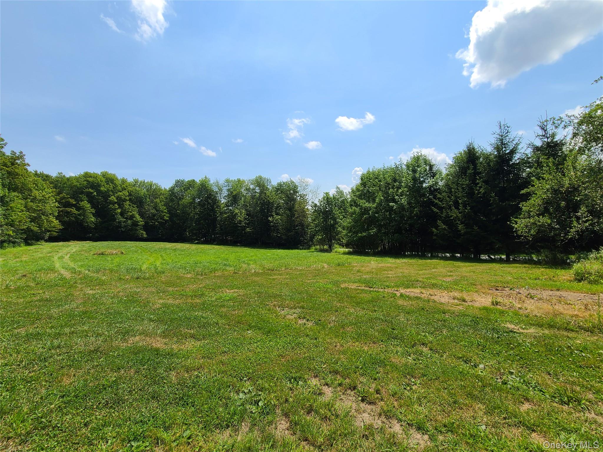 Tbd Stump Pond Road Property Photo 5