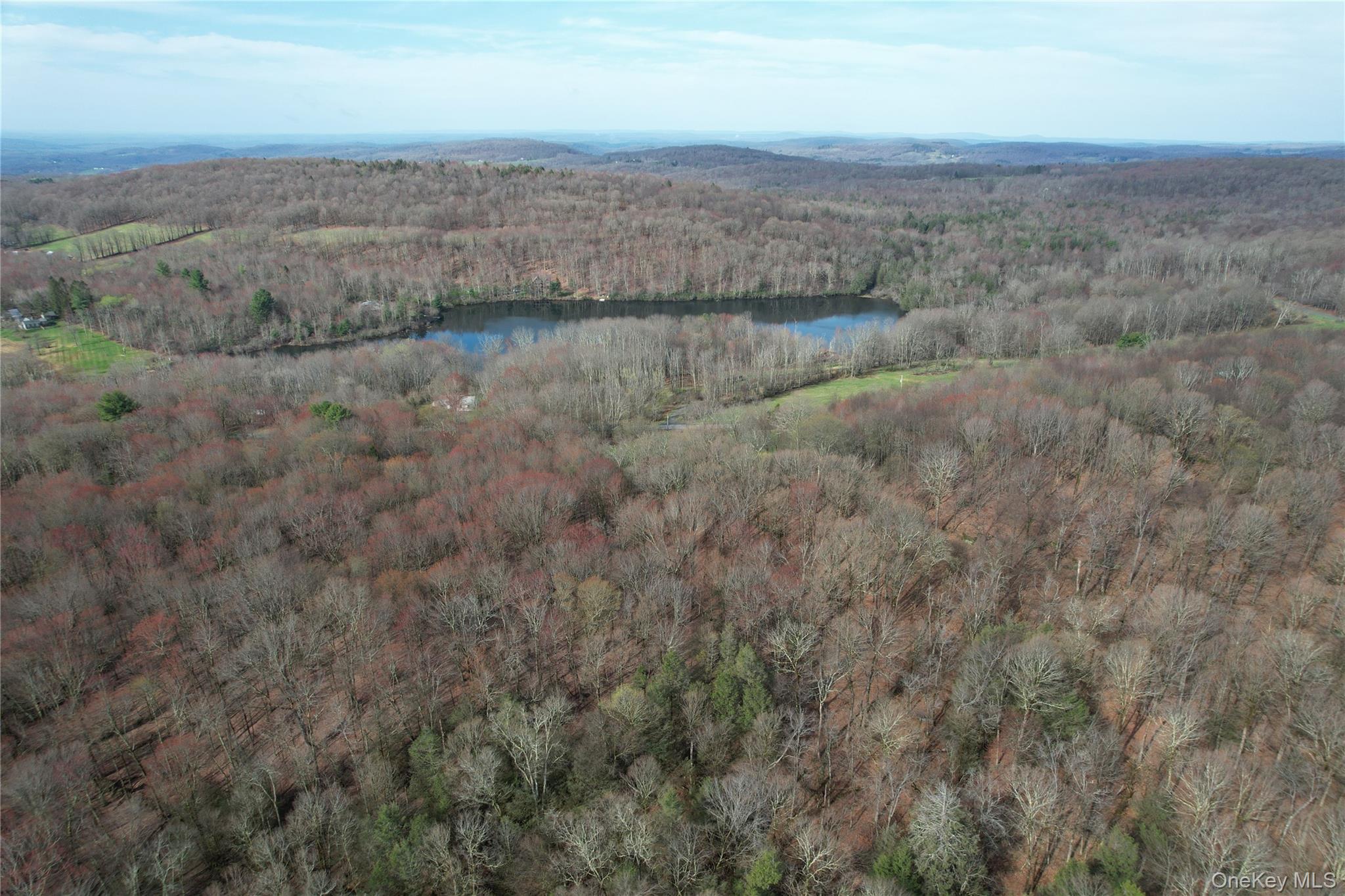 Tbd Stump Pond Road Property Photo 6