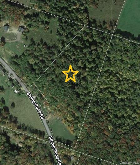Tbd Stump Pond Road Property Photo 7