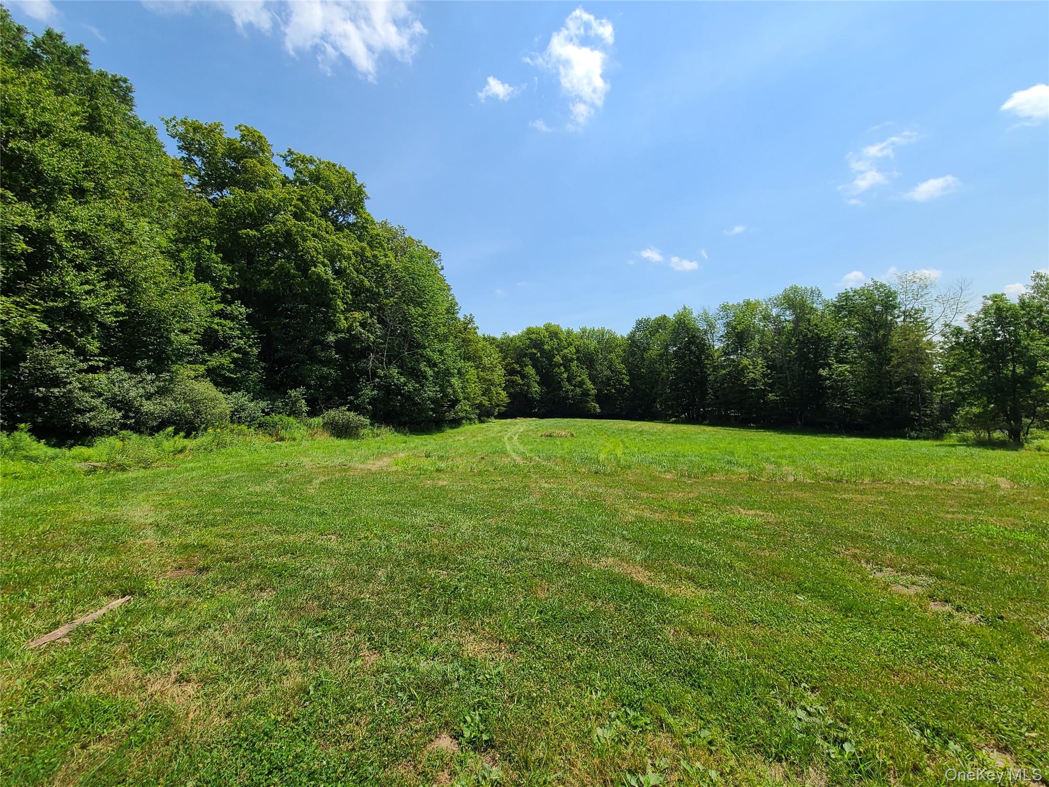 Tbd Stump Pond Road Property Photo 11