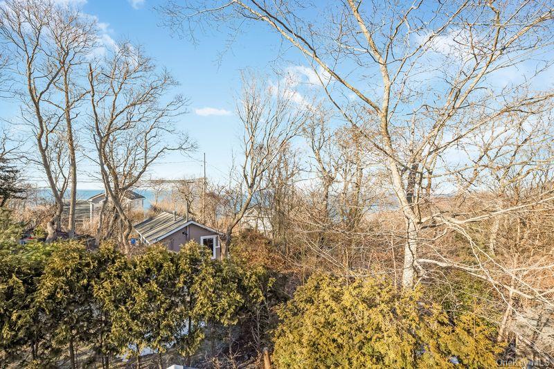 356 Oakleigh Avenue 17 Property Photo 31