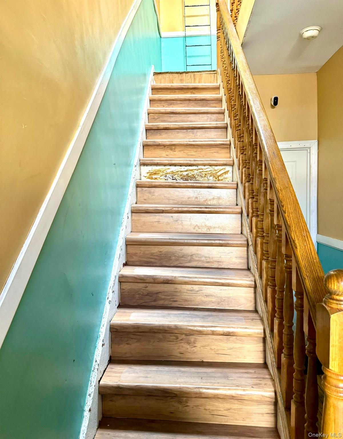 1538 Saint Marks Avenue Property Photo 13