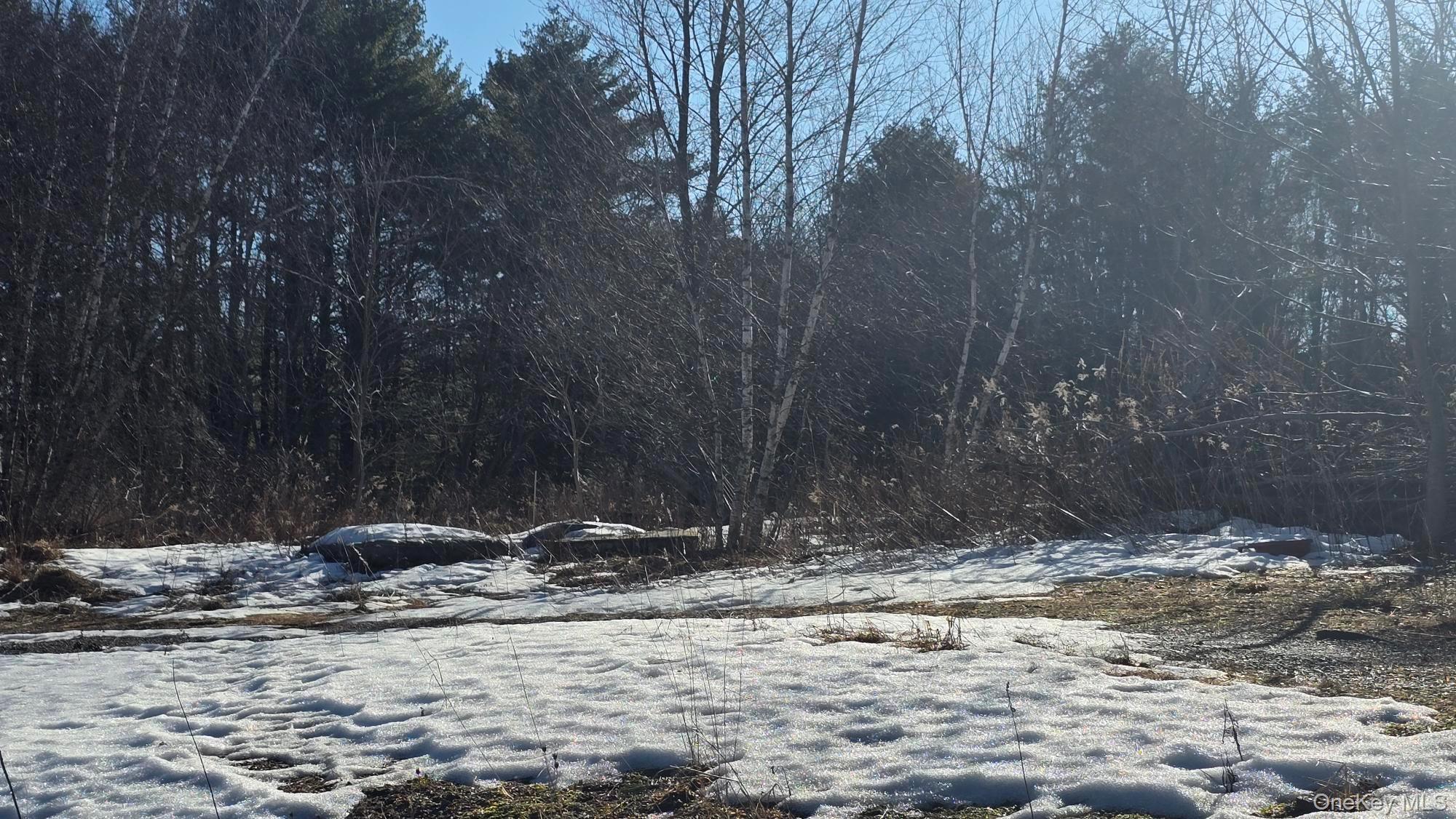 1122 State Route 52 Property Photo 5