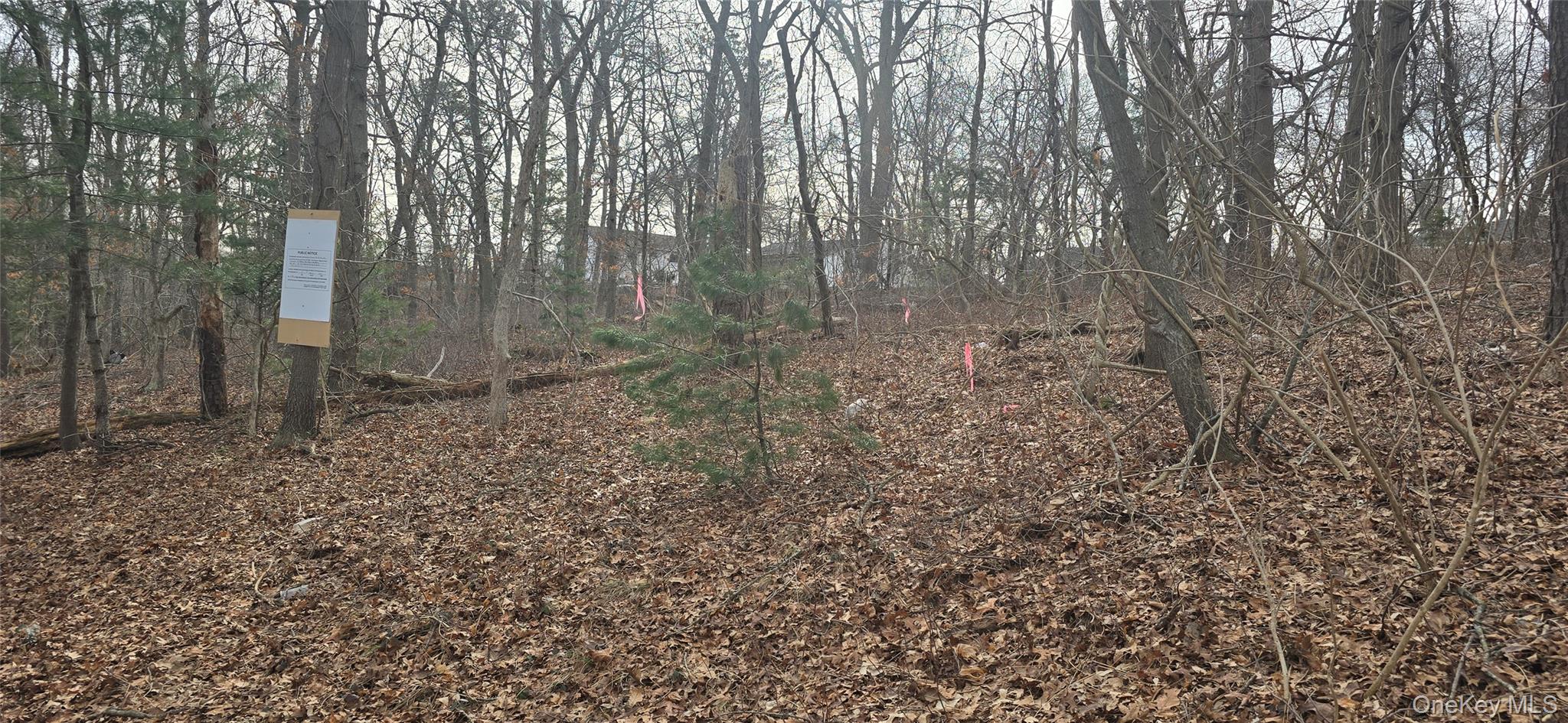 Vl(2) Bedford Avenue Property Photo 2