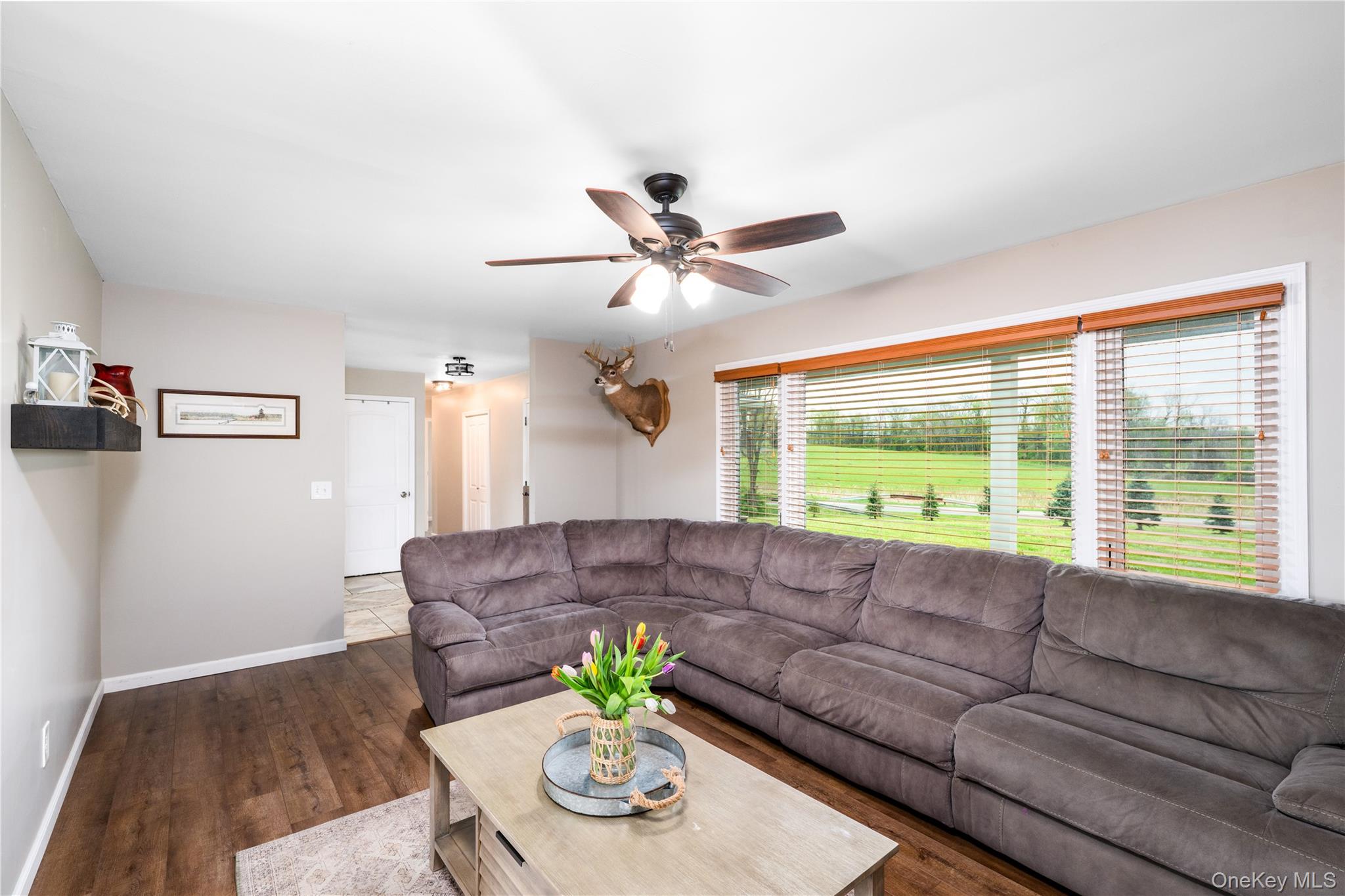 41 Diddell Road Property Photo 15