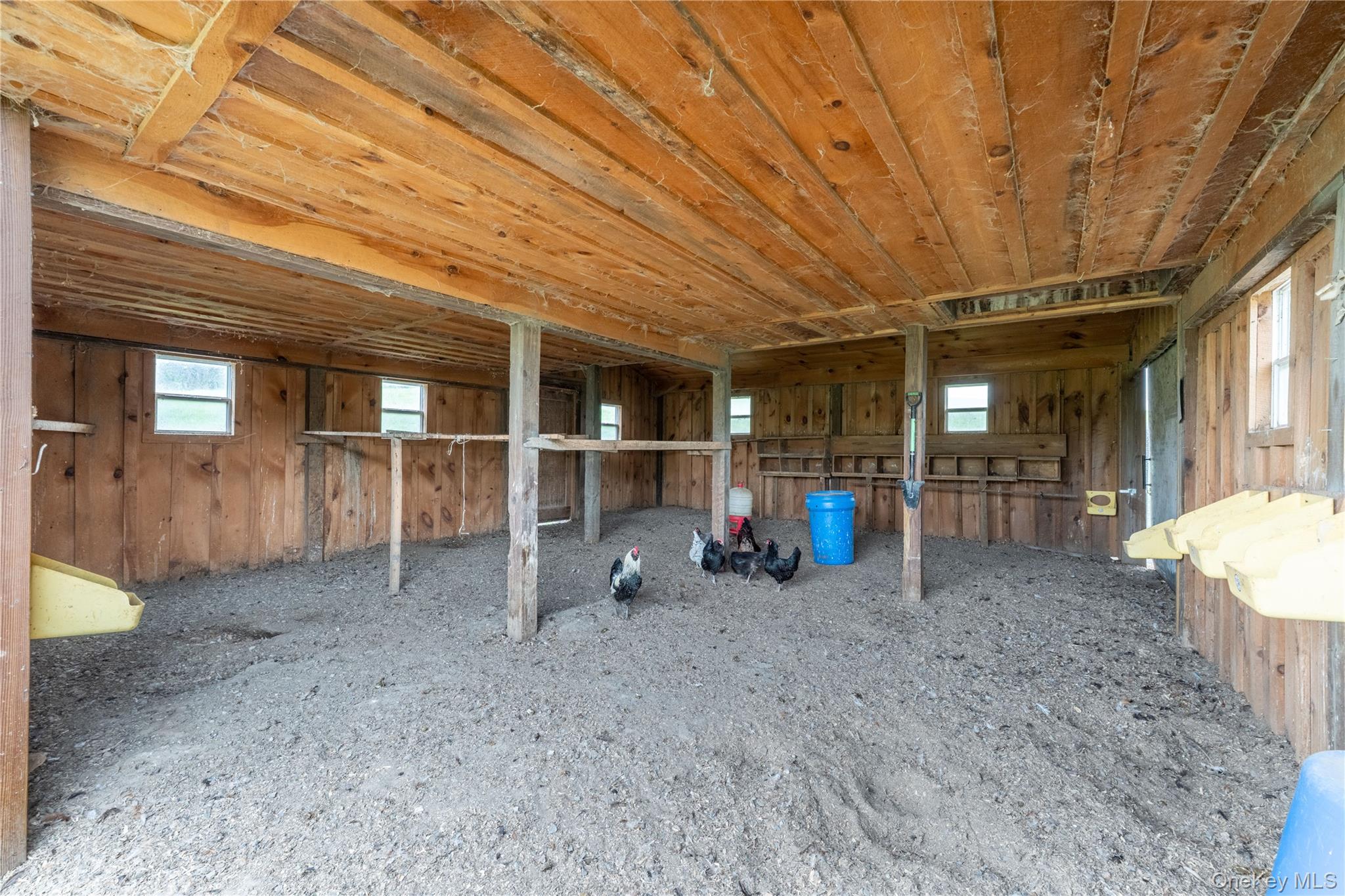 41 Diddell Road Property Photo 32