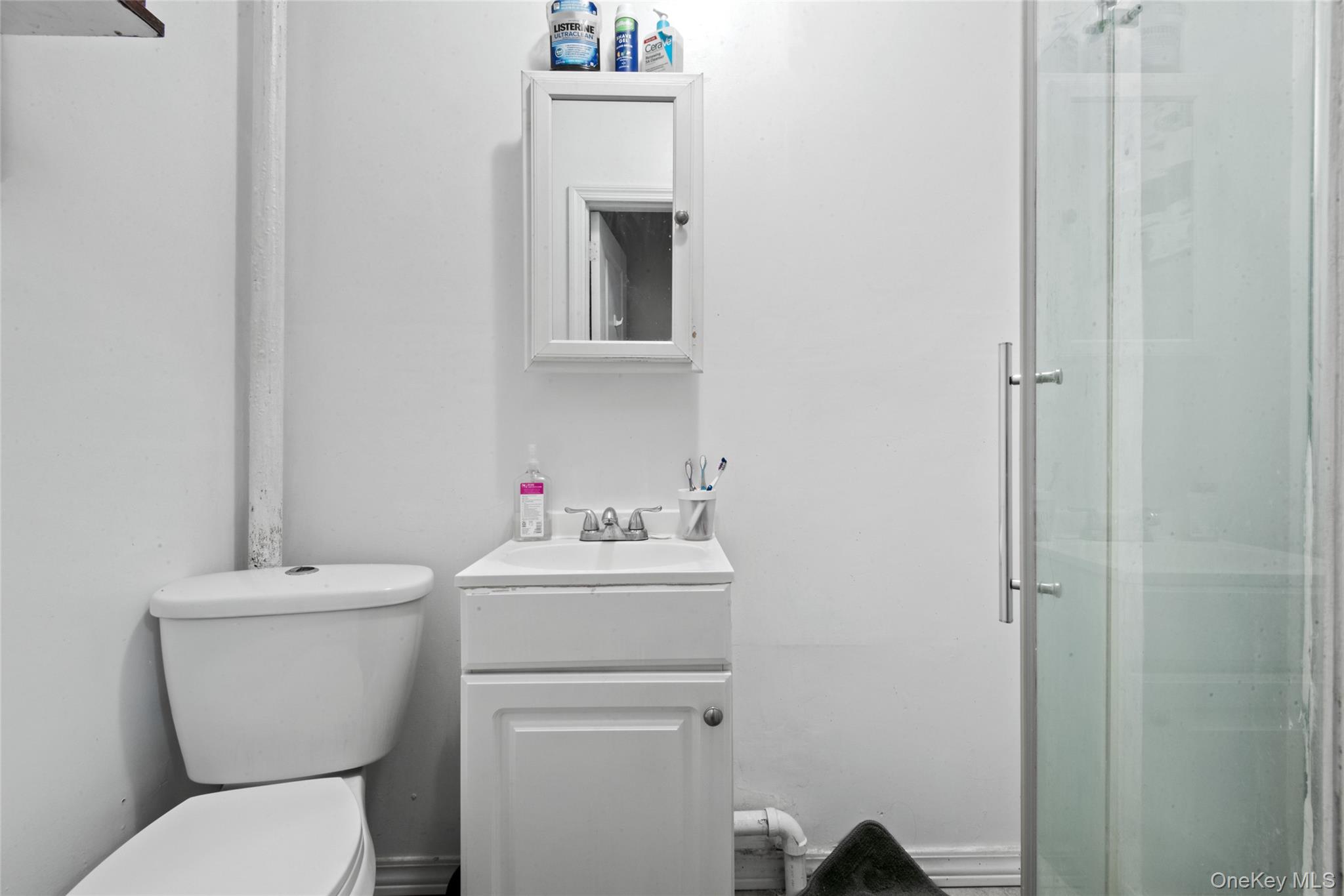 244 45th Street Property Photo 22